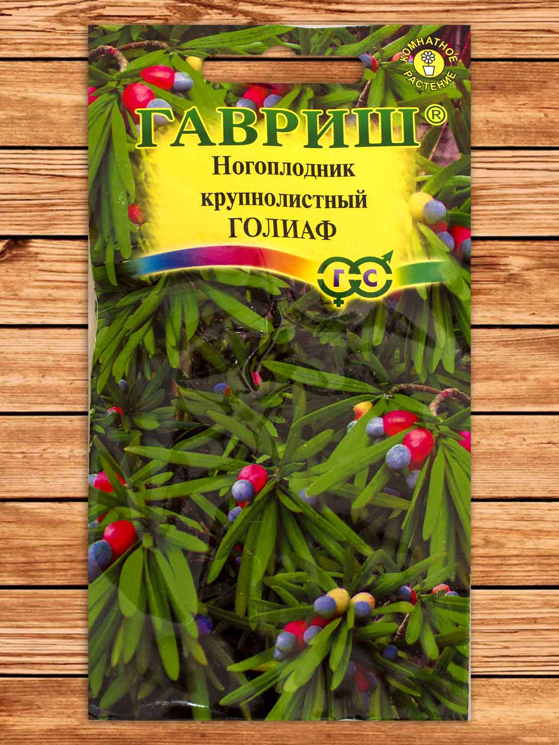 Ногоплодник Крупнолистный Голиаф 3 шт.