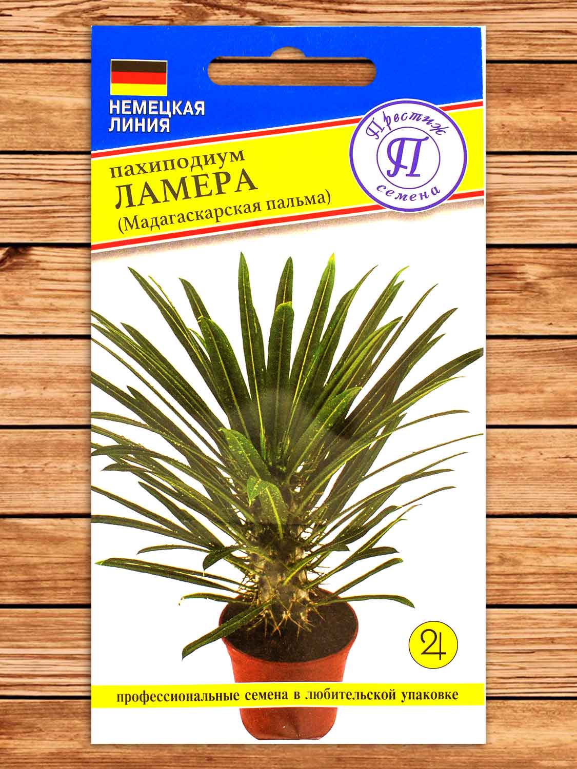 Пахиподиум Ламера 3 шт.