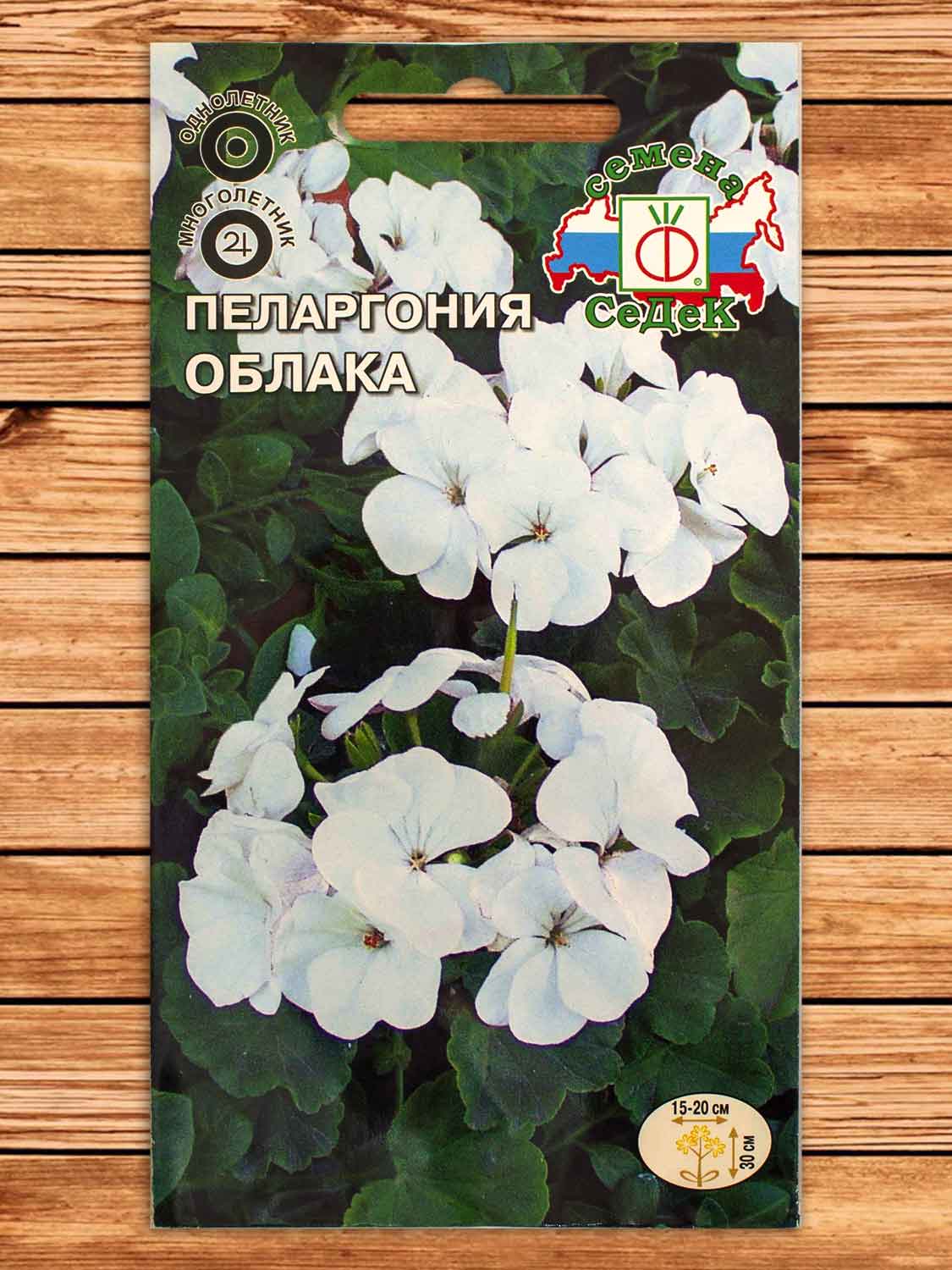 Пеларгония (Герань) Облака 5 шт.