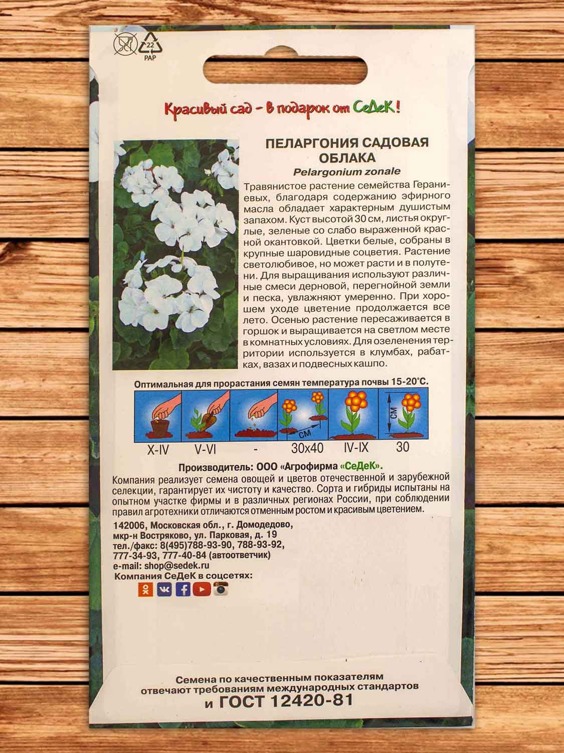 Пеларгония (Герань) Облака 5 шт.
