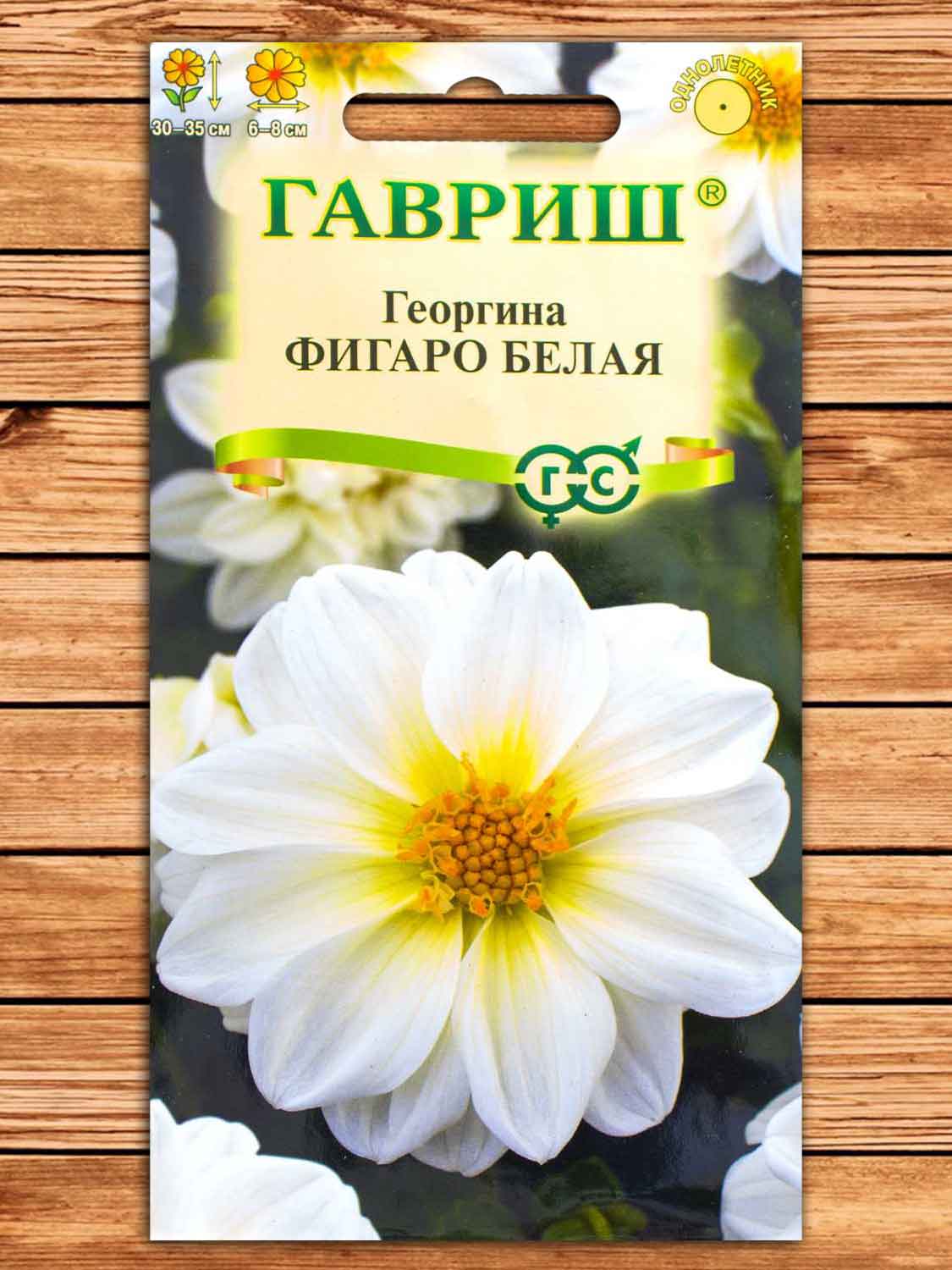 Георгина Фигаро Белая 7 шт.