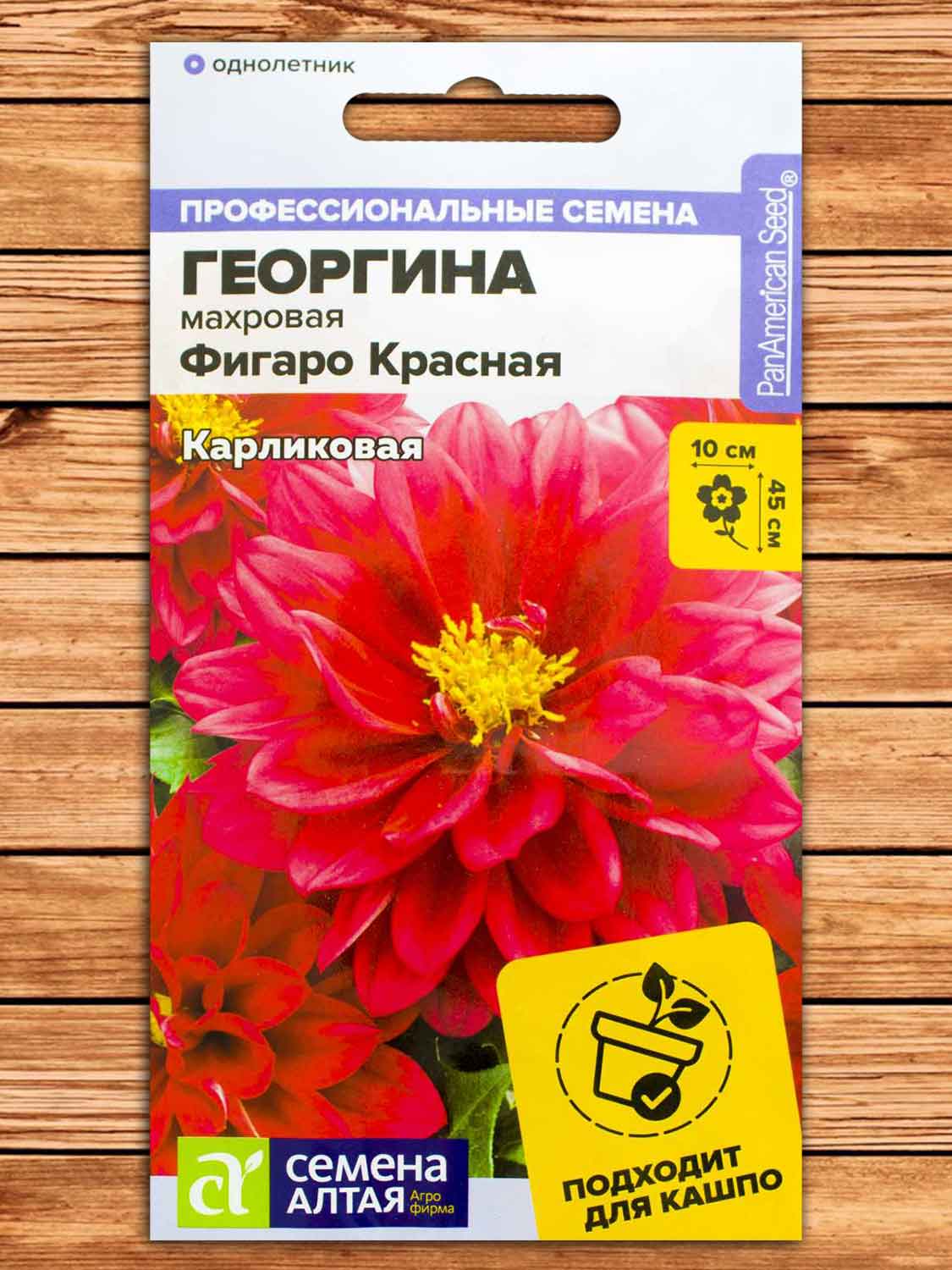 Георгина Фигаро Красная махровая 5 шт.