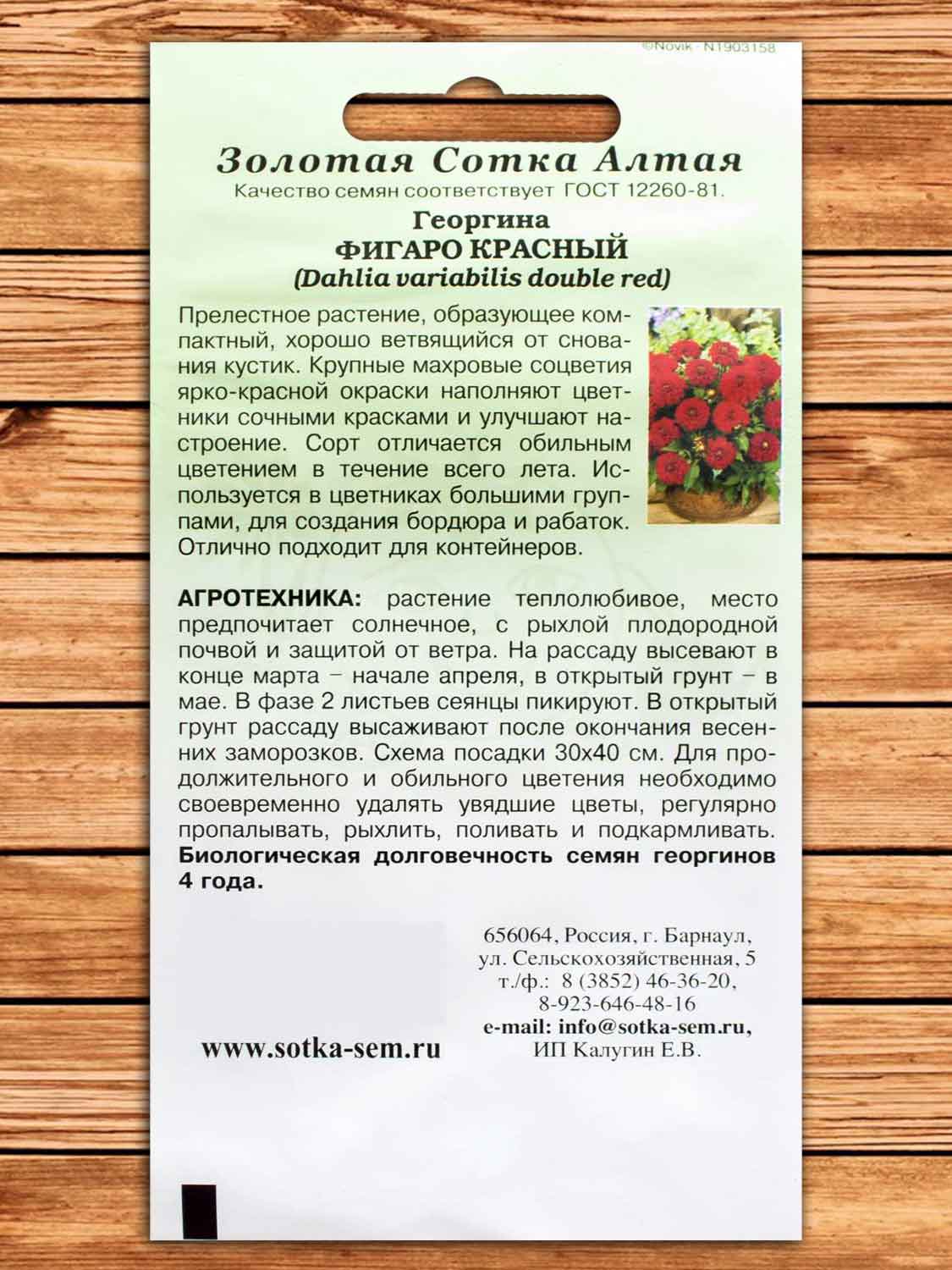 Георгина Фигаро Красный 7 шт.