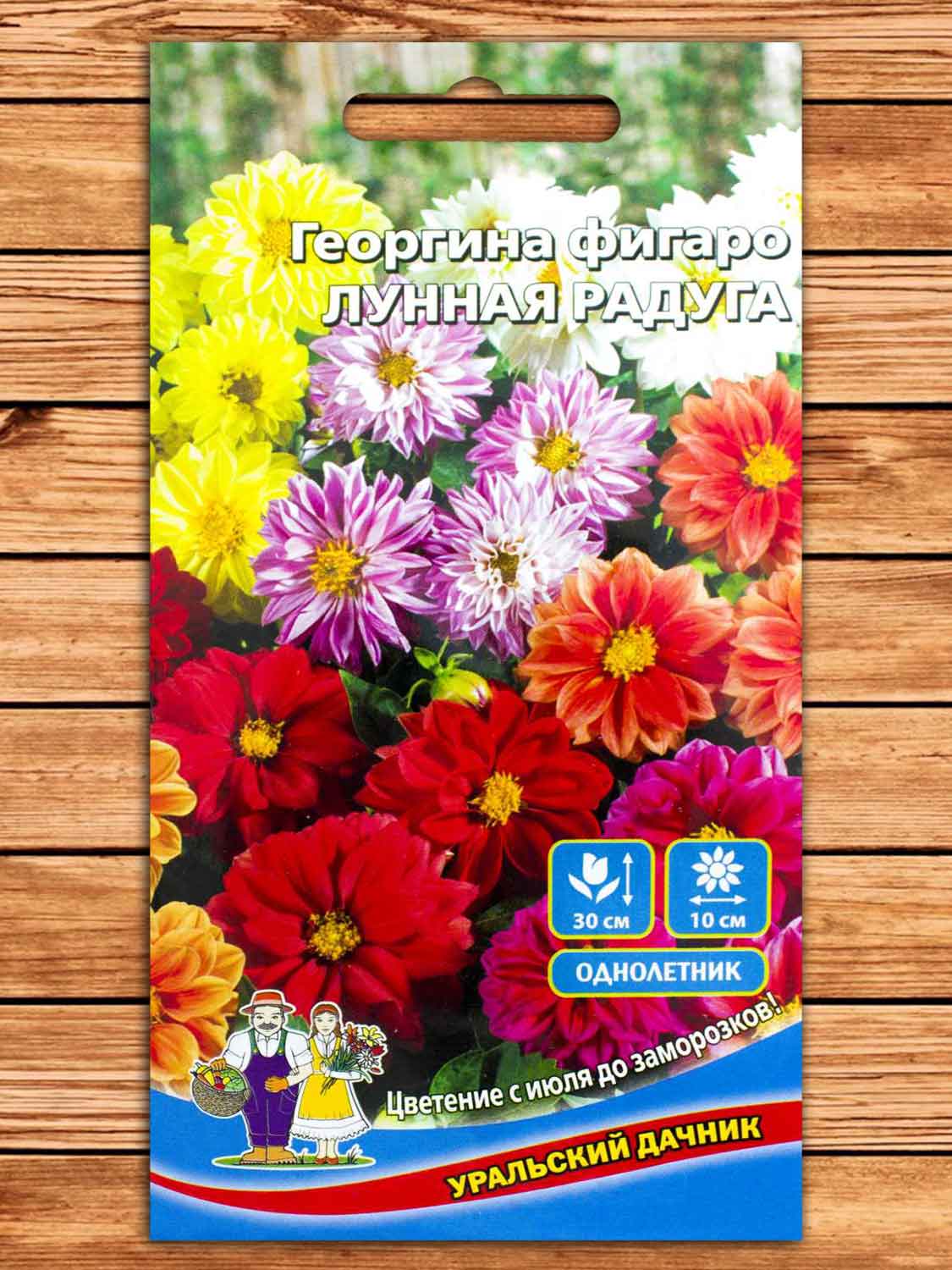 Георгина Фигаро Лунная Радуга 0,15 гр.