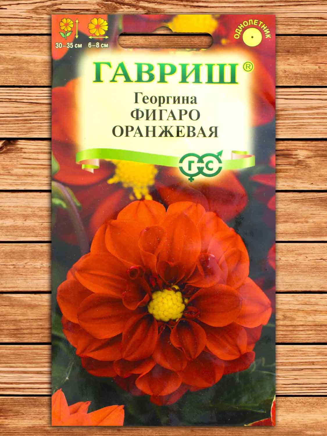 Георгина Фигаро Оранжевая 7 шт.