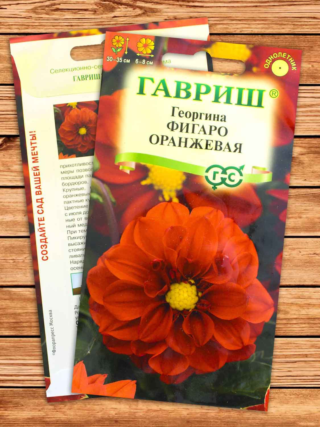 Георгина Фигаро Оранжевая 7 шт.