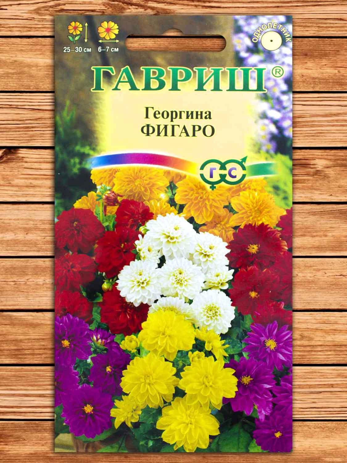 Георгина Фигаро, смесь махровая 7 шт.