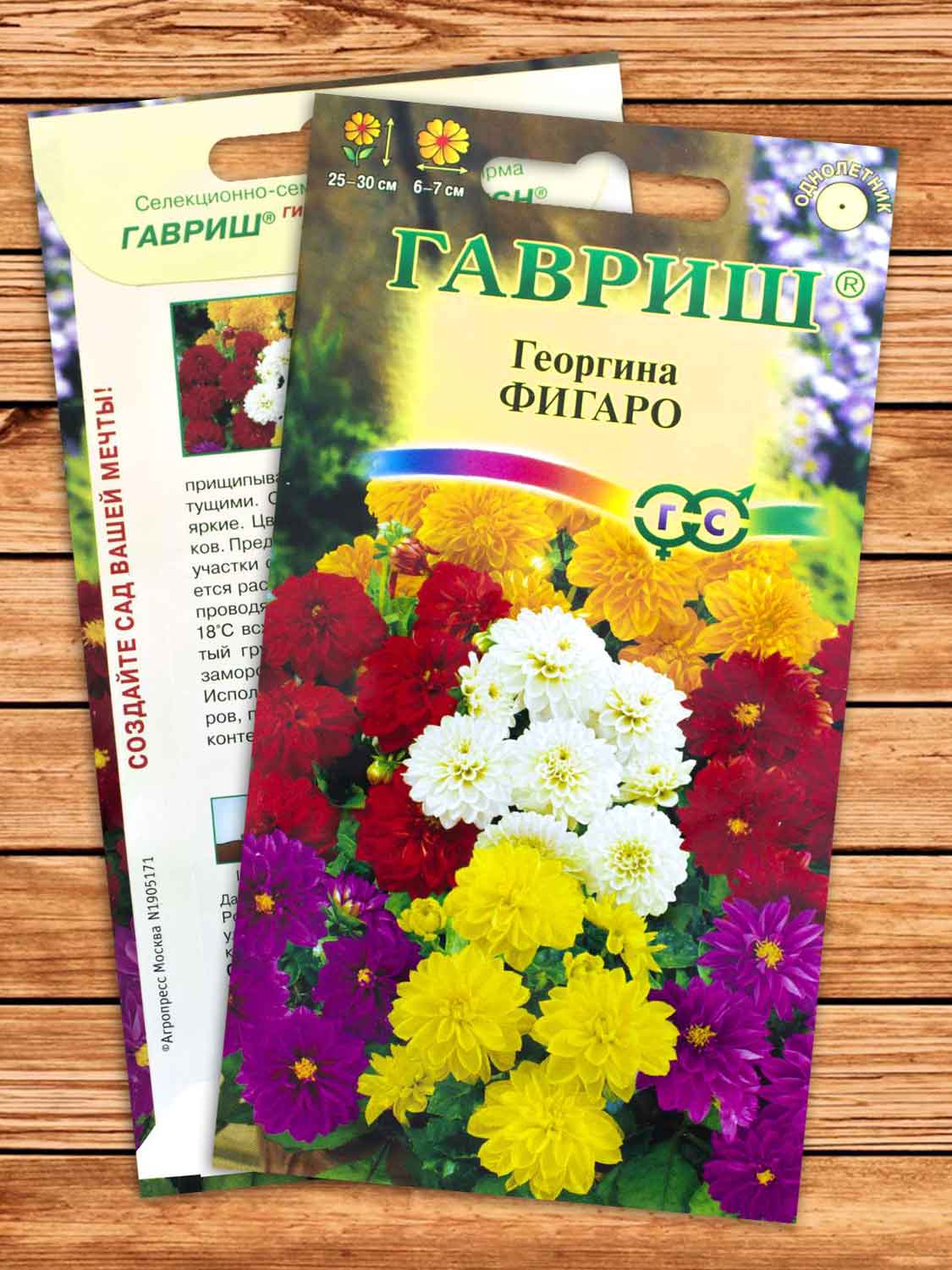 Георгина Фигаро, смесь махровая 7 шт.