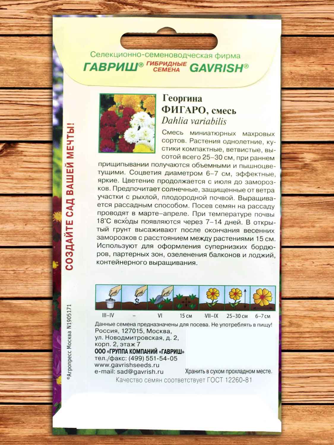 Георгина Фигаро, смесь махровая 7 шт.