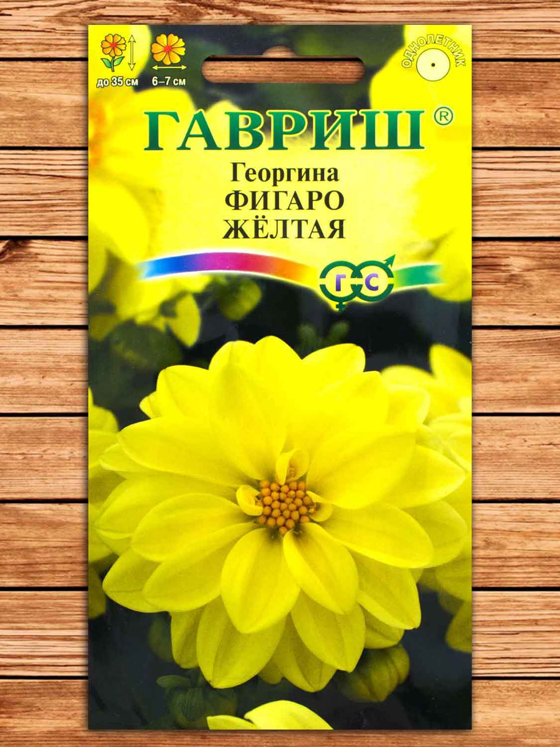 Георгина Фигаро Желтая 7 шт.