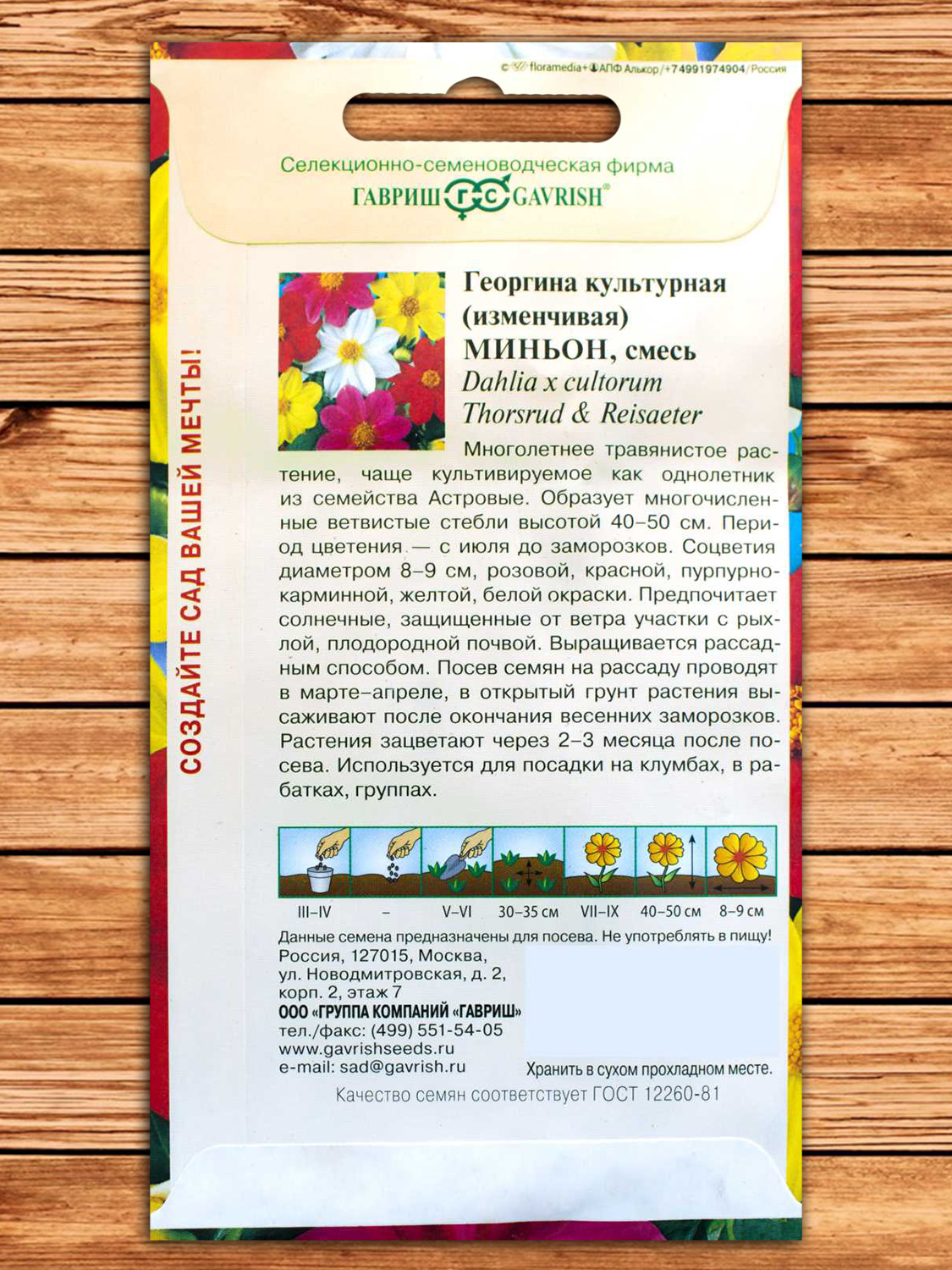 Георгина Миньон, смесь 0,3 гр.