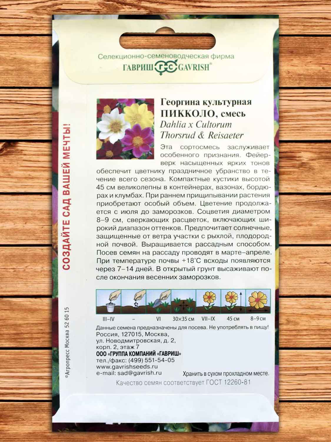 Георгина Пикколо, смесь 0,3 гр.