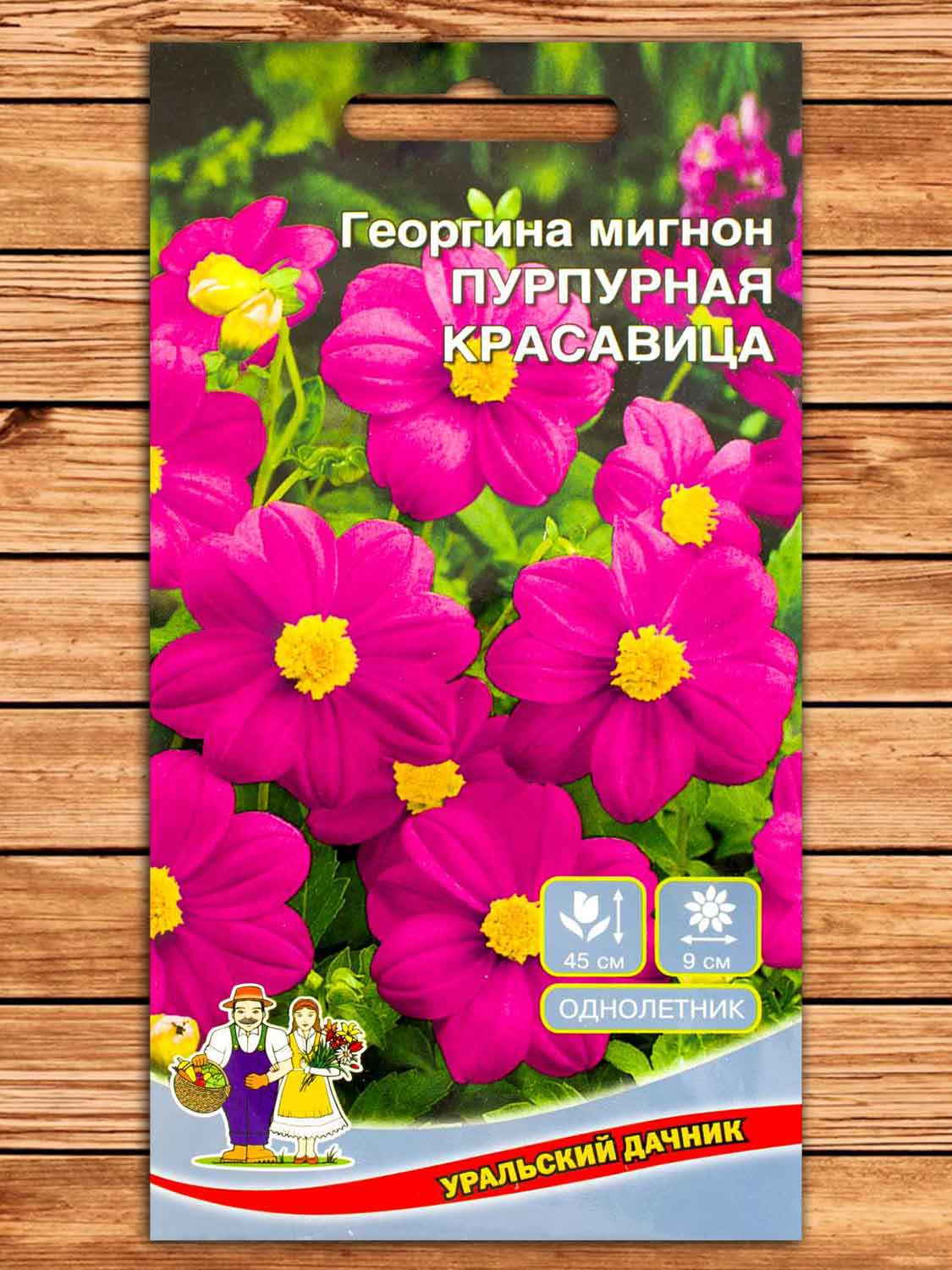 Георгина Пурпурная Красавица мигнон 0,15 гр.
