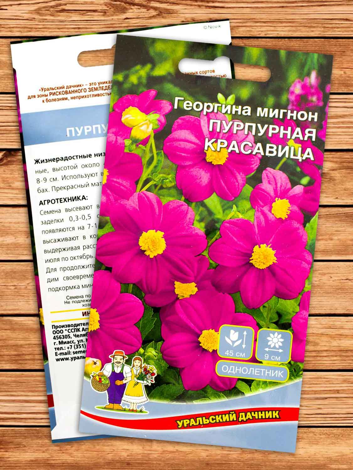 Георгина Пурпурная Красавица мигнон 0,15 гр.