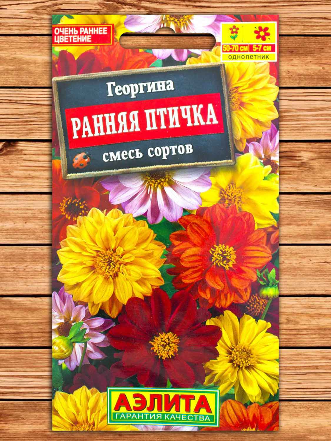 Георгина Ранняя Птичка смесь окрасок махровая 0,3 гр.