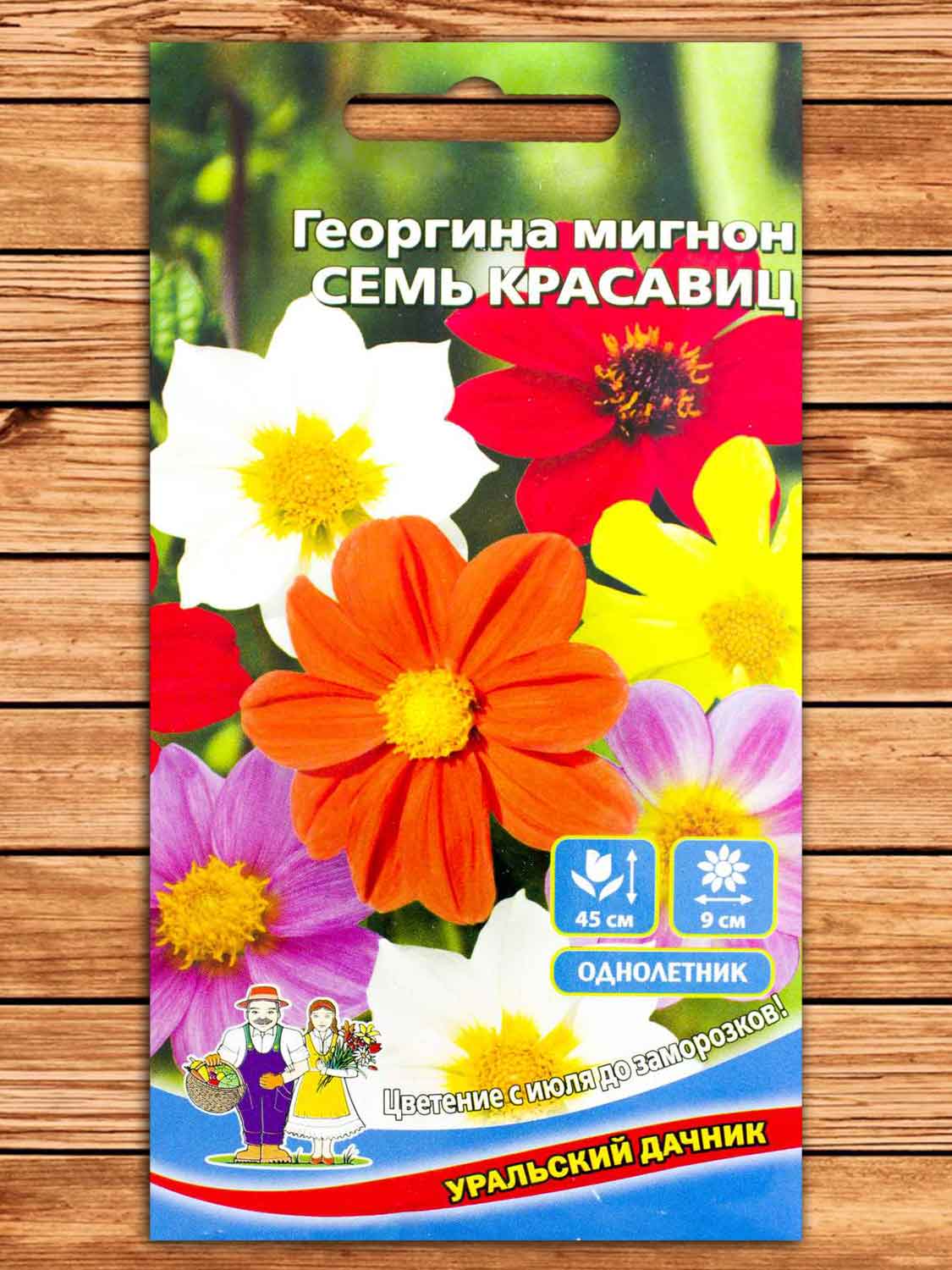 Георгина Семь красавиц мигнон 0,2 гр.