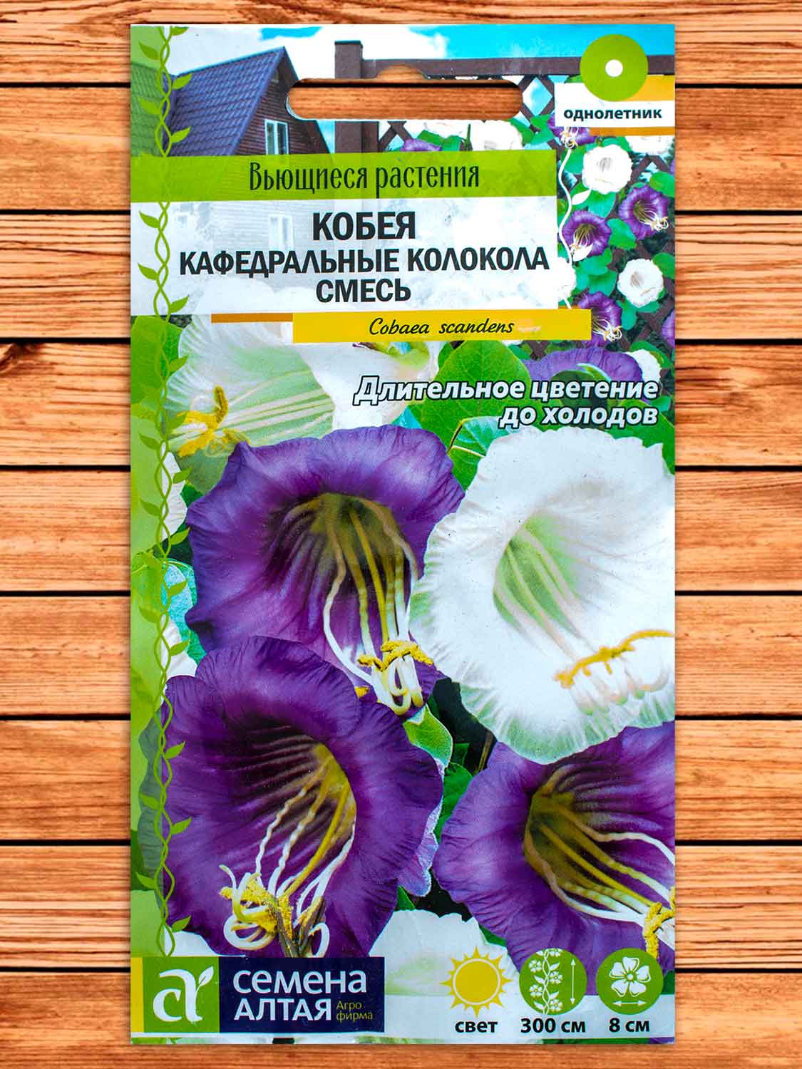 Кобея Смесь Кафедральные колокола лазающая 5 шт. серия Вьющиеся растения