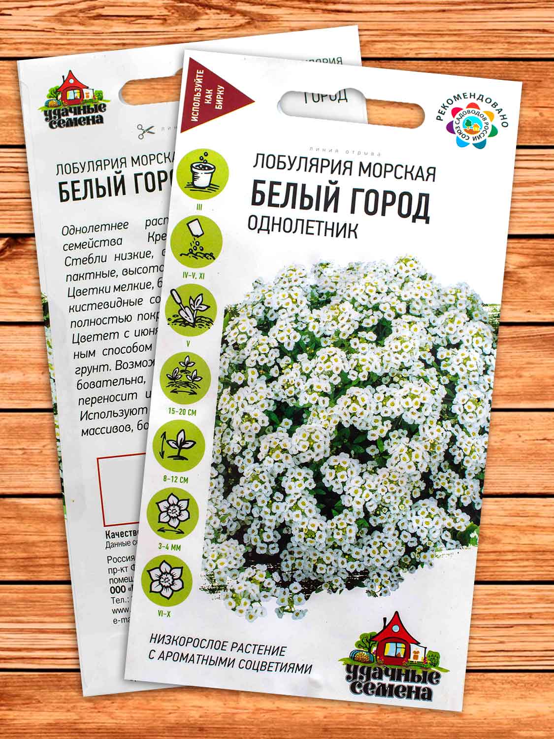 Алиссум (Лобулярия) Белый Город морская 0,05 гр. серия Удачные Семена