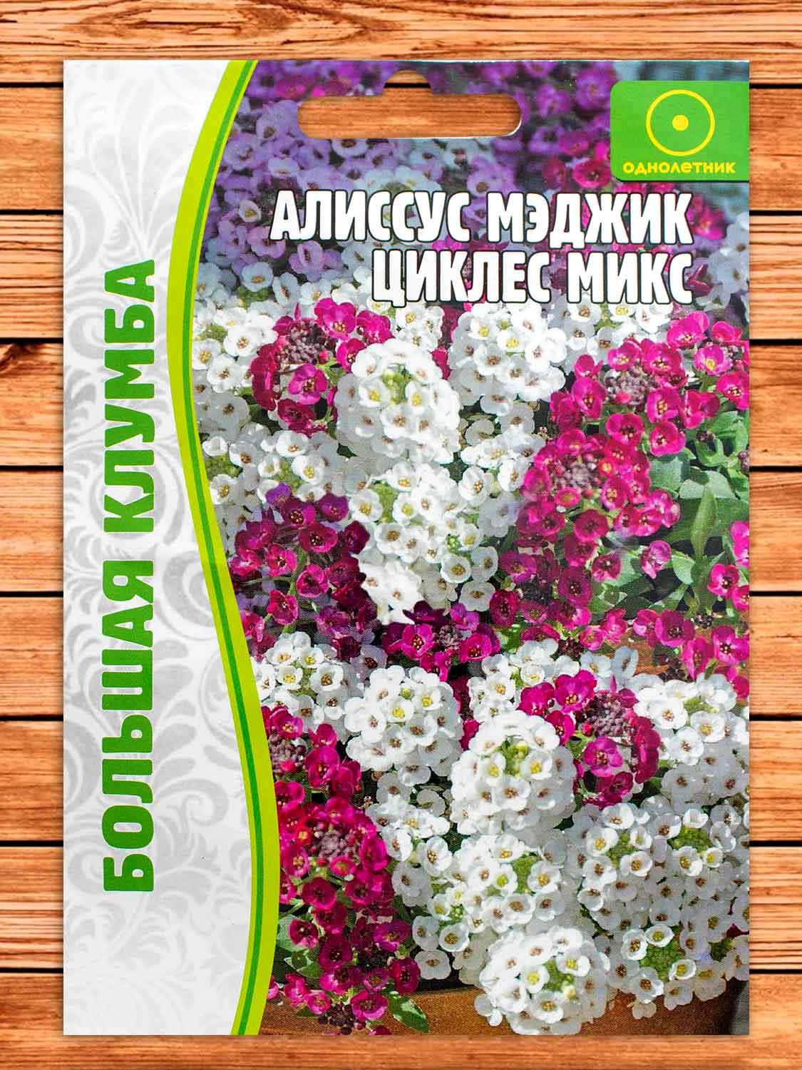 Алиссум (Лобулярия) Мэджик Циклес микс Большая клумба однолетник 0,1гр .