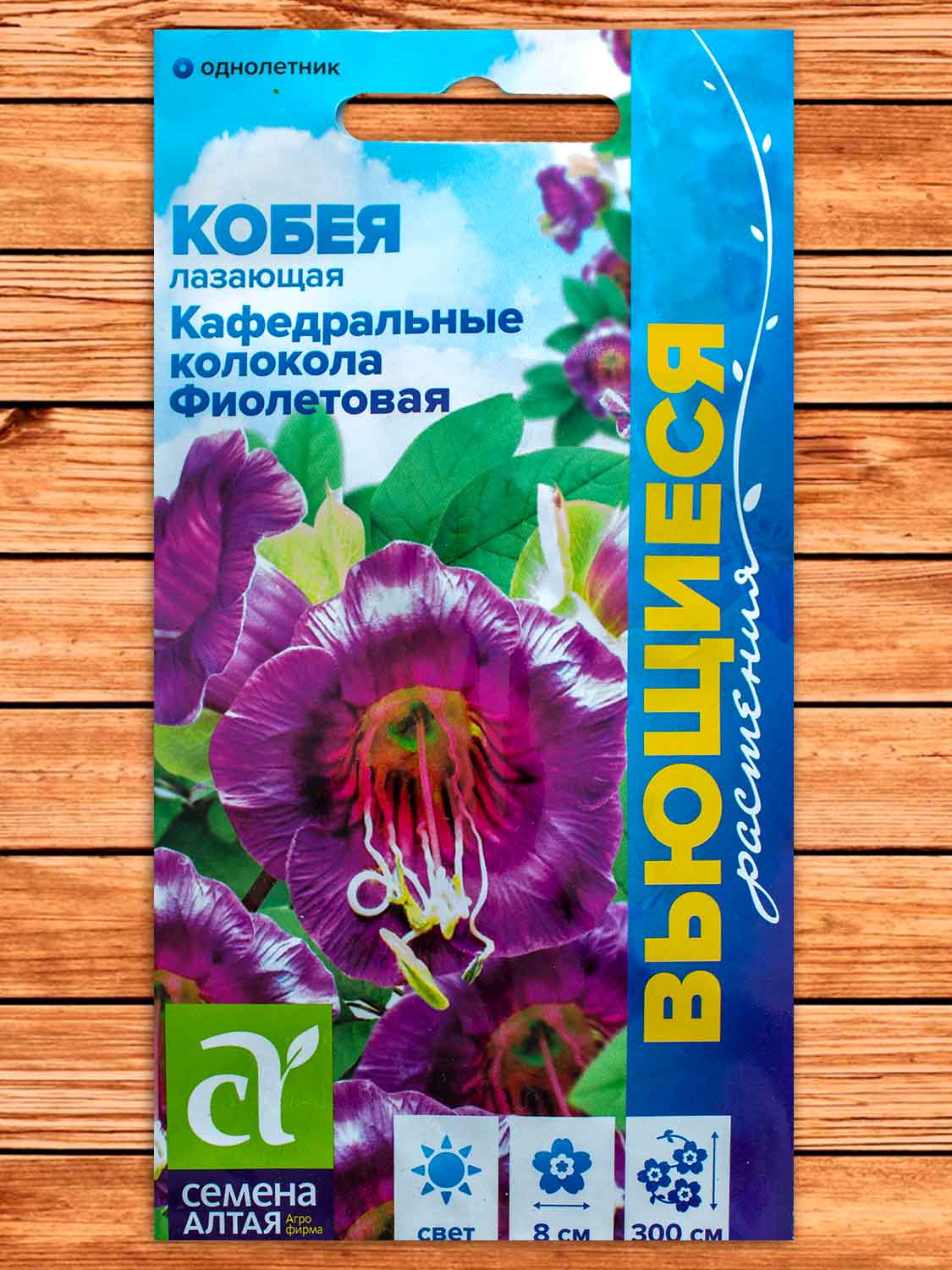 Кобея Фиолетовая Кафедральные колокола лазающая 5 шт. серия Вьющиеся растения
