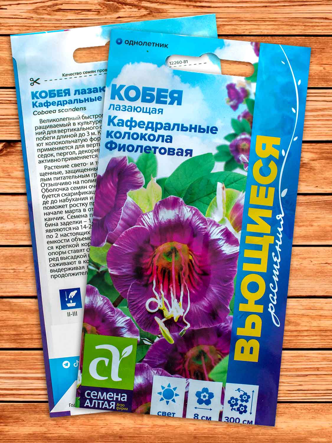Кобея Фиолетовая Кафедральные колокола лазающая 5 шт. серия Вьющиеся растения
