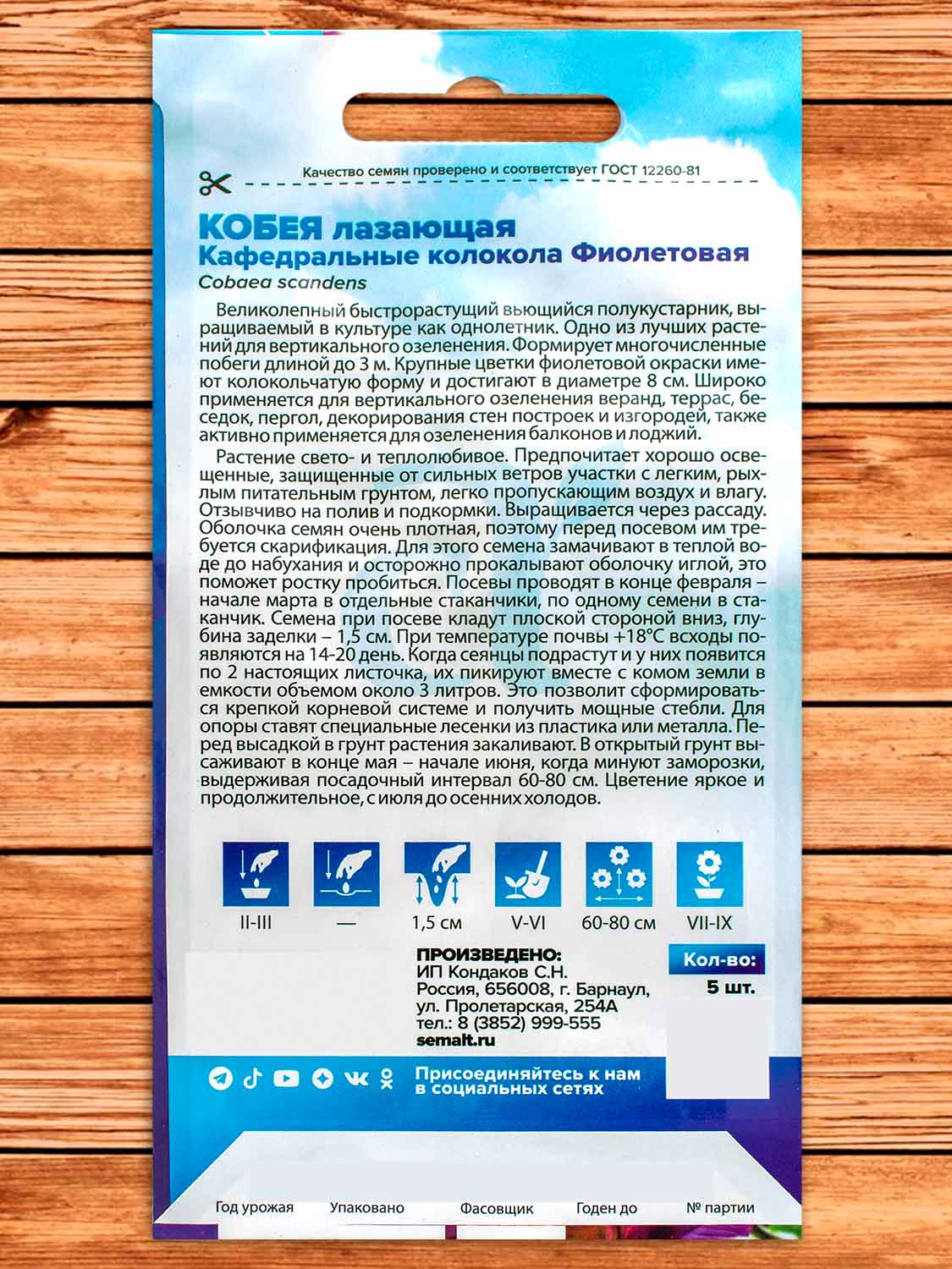 Кобея Фиолетовая Кафедральные колокола лазающая 5 шт. серия Вьющиеся растения