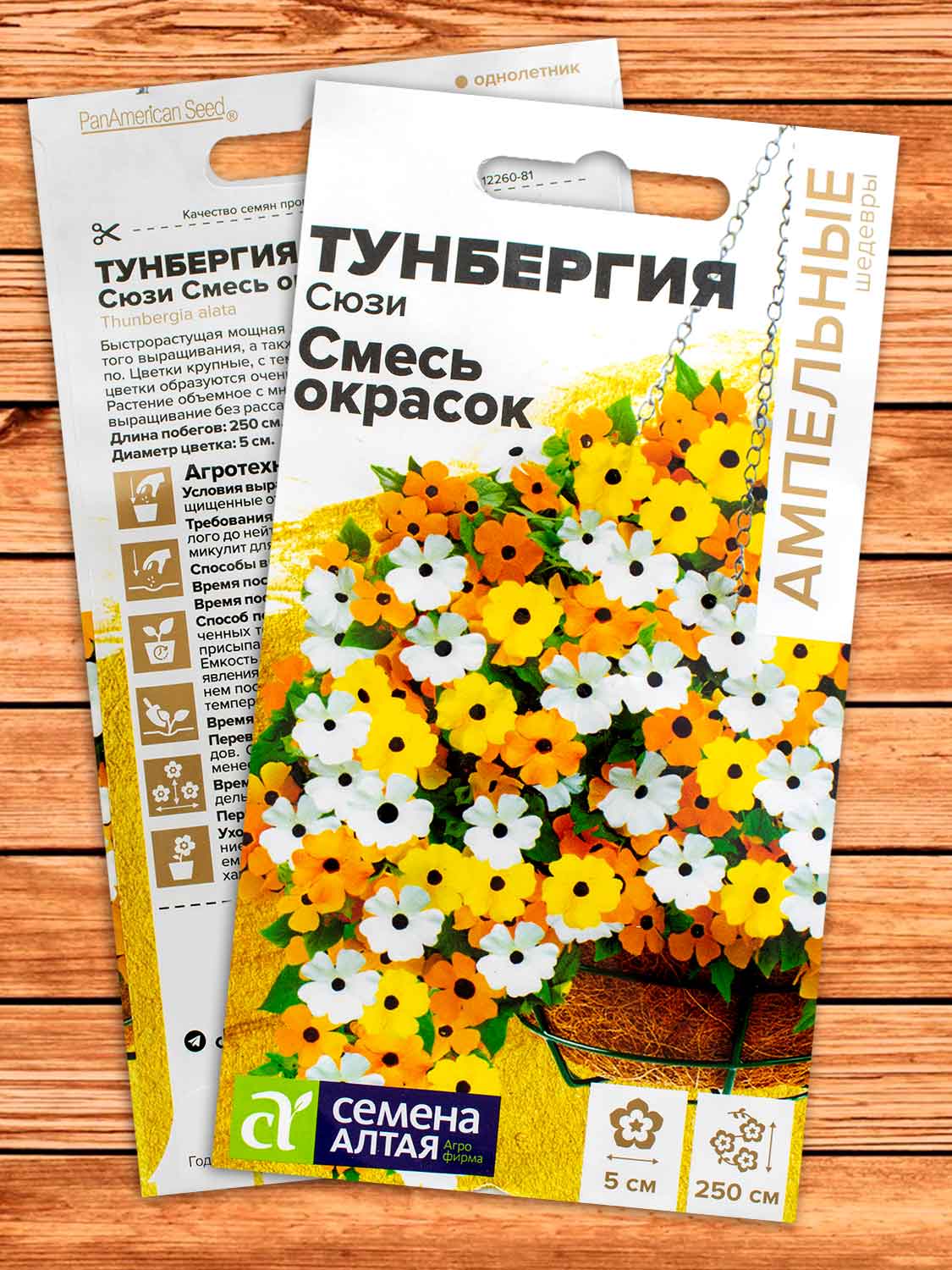 Тунбергия Сюзи Смесь Окрасок крылатая 4 шт. серия Ампельные Шедевры