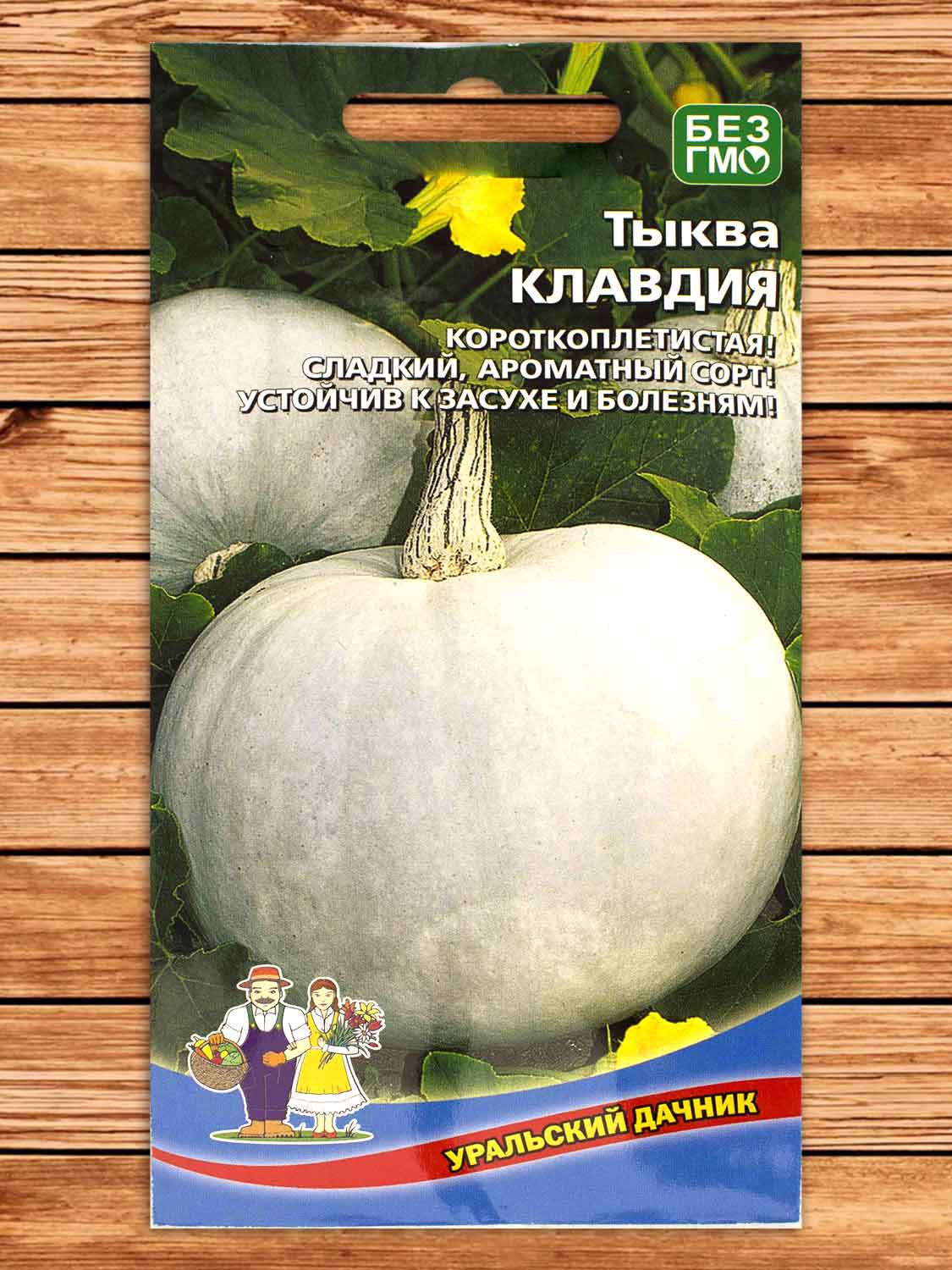 Тыква Клавдия 6 шт.