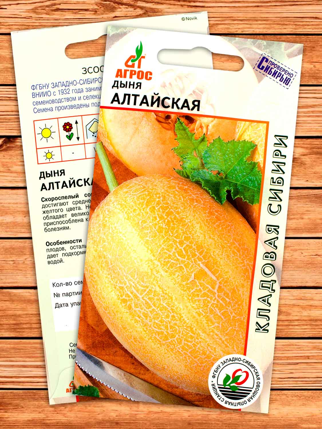 Дыня Алтайская 10 шт.