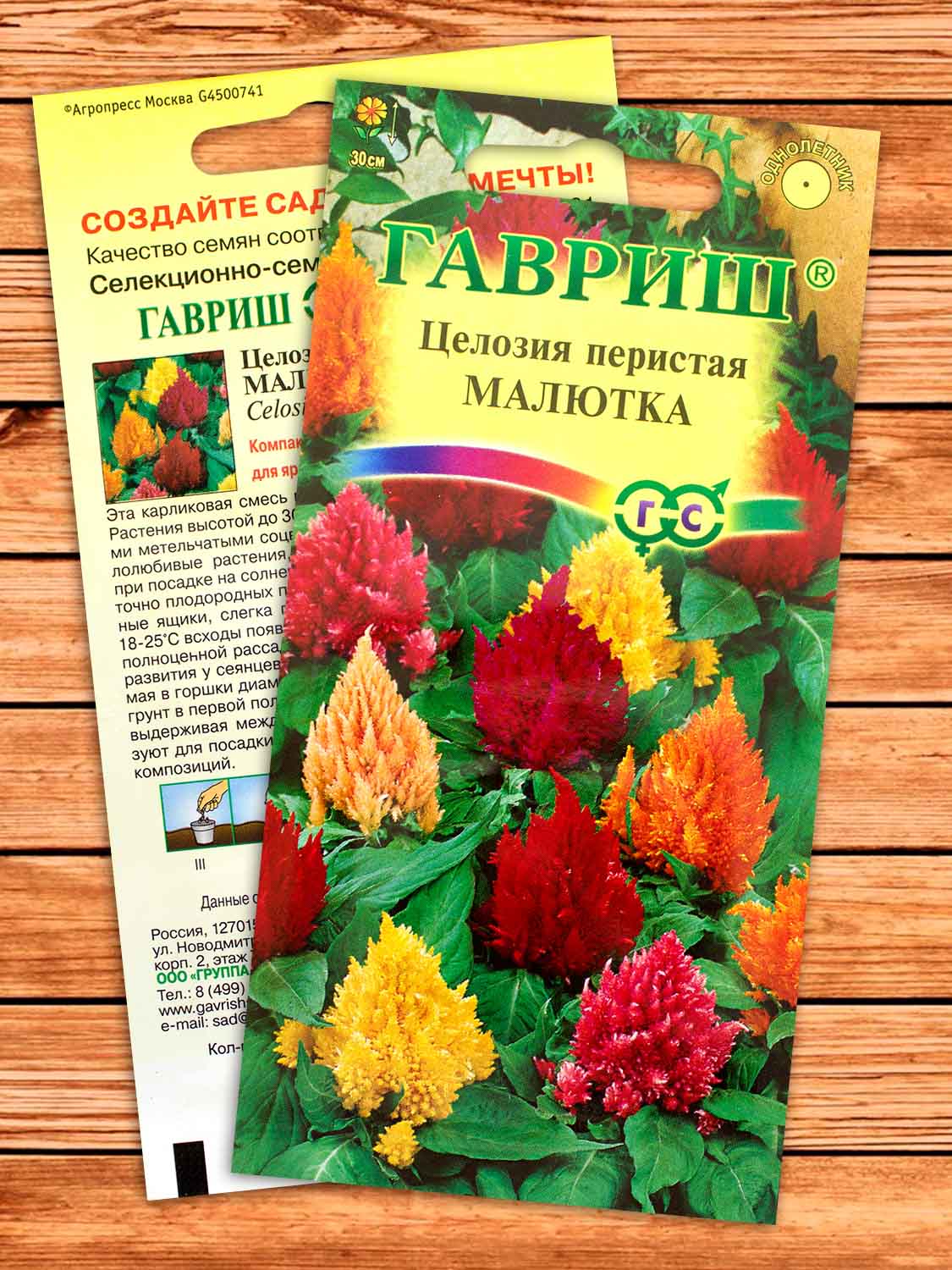 Целозия Малютка, перистая смесь 0,01 гр.