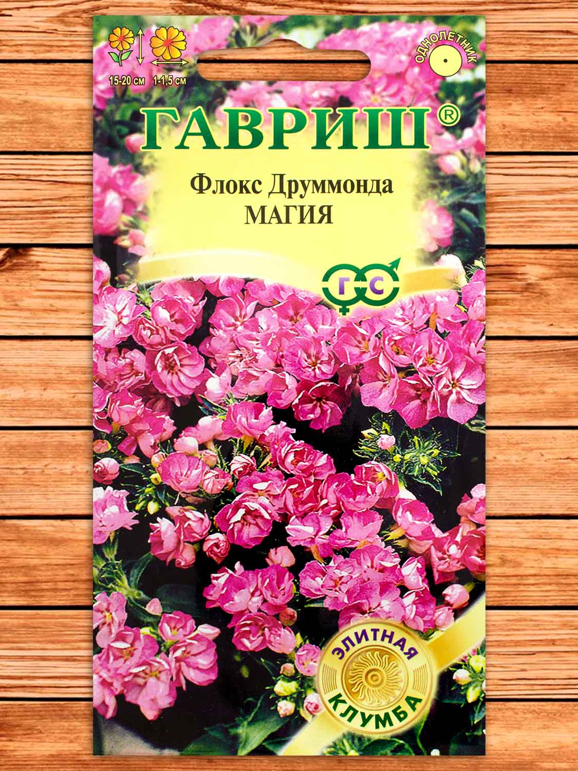 Флокс Друммонда Магия 8 шт.