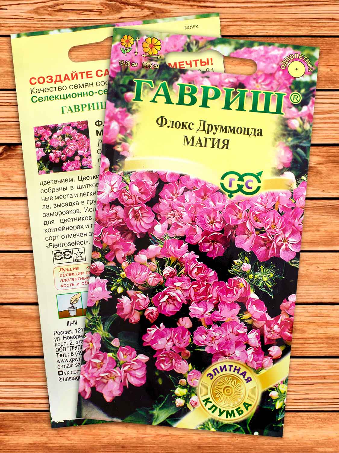Флокс Друммонда Магия 8 шт.