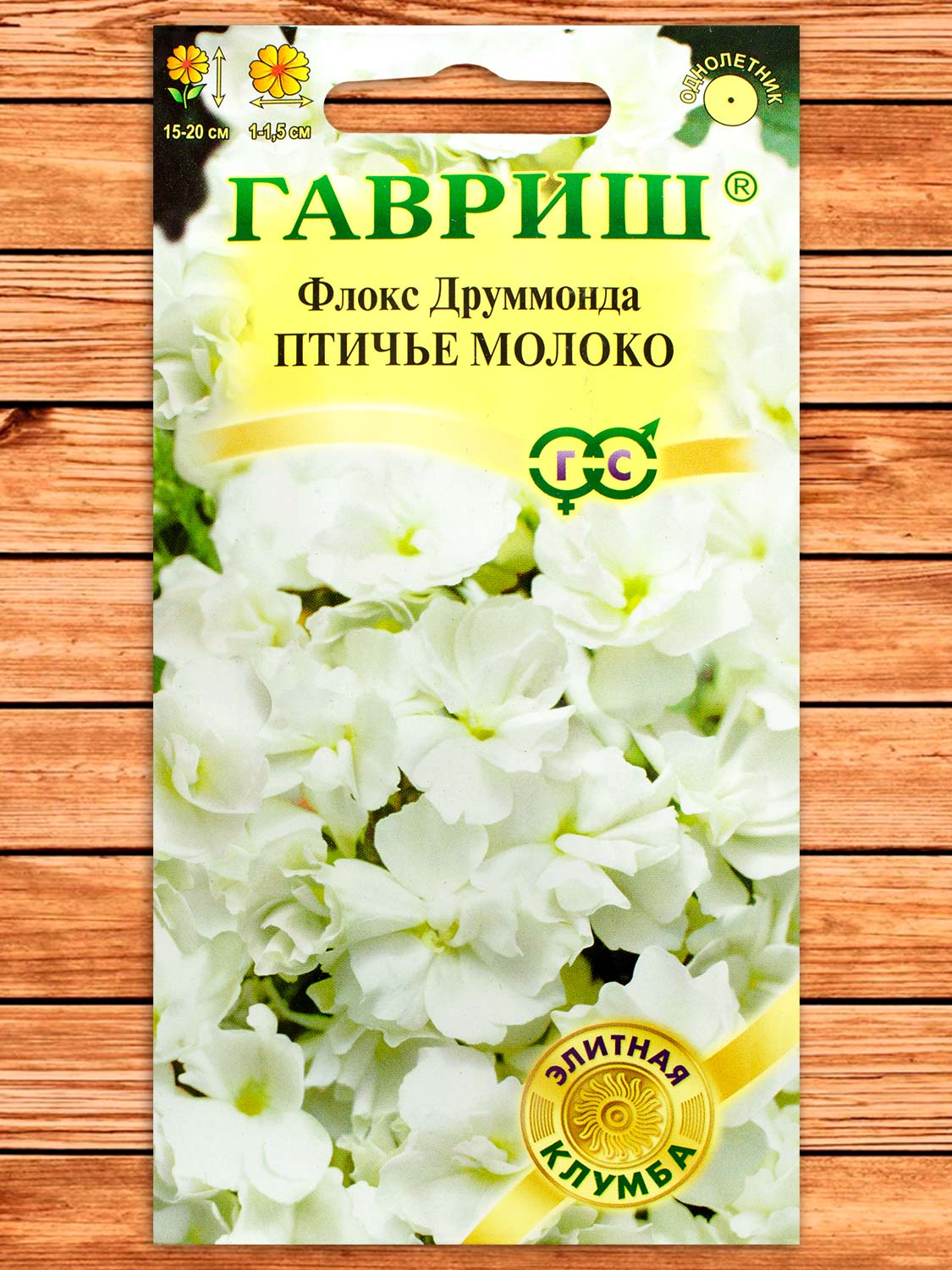 Флокс Друммонда Птичье Молоко 8 шт.