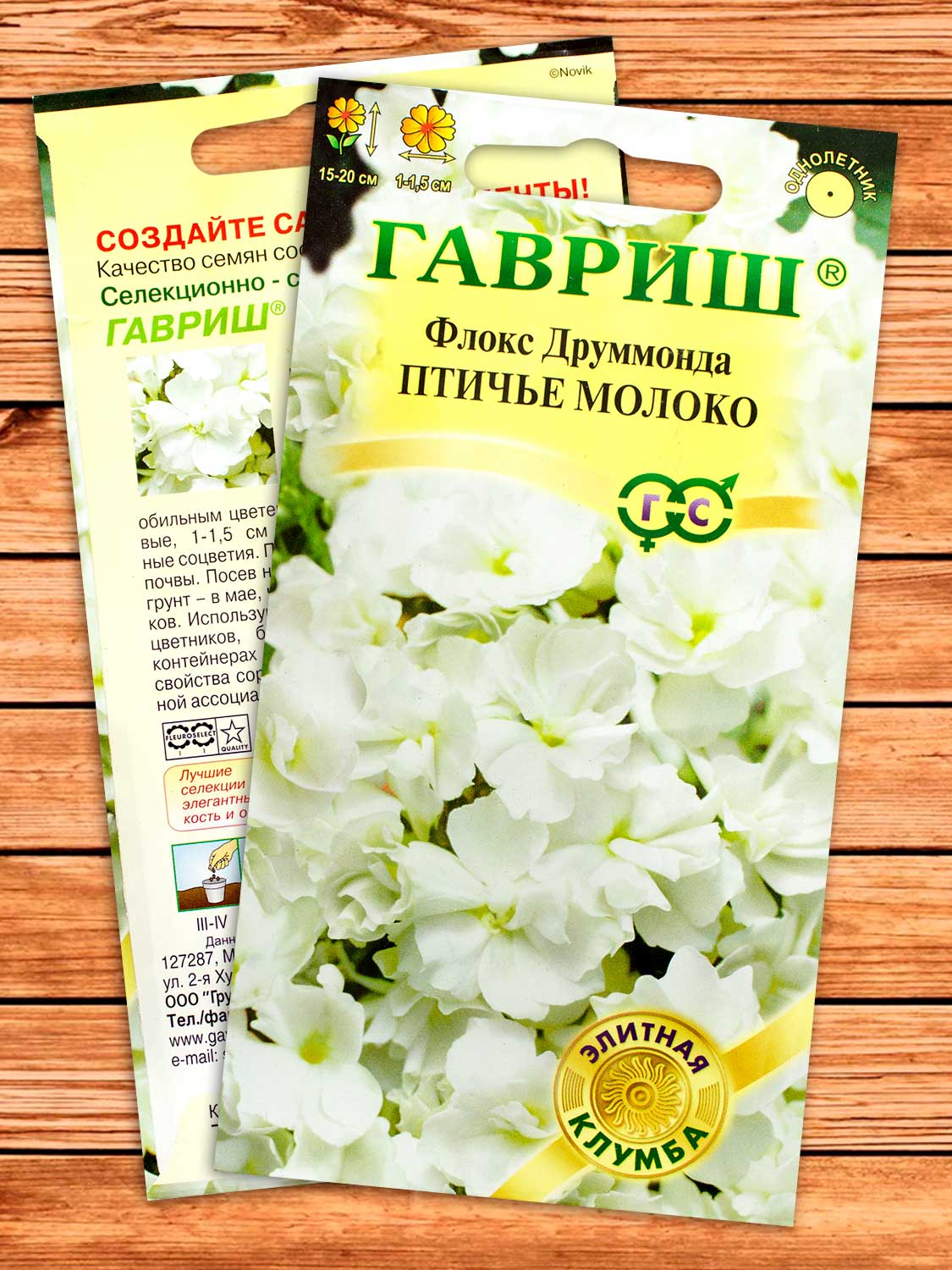 Флокс Друммонда Птичье Молоко 8 шт.