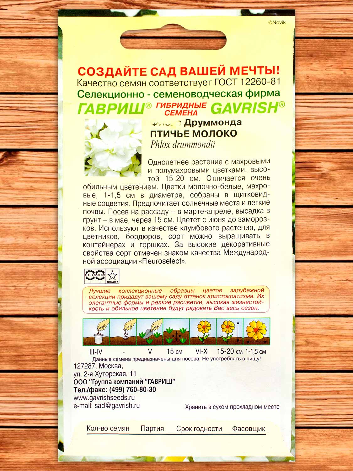 Флокс Друммонда Птичье Молоко 8 шт.