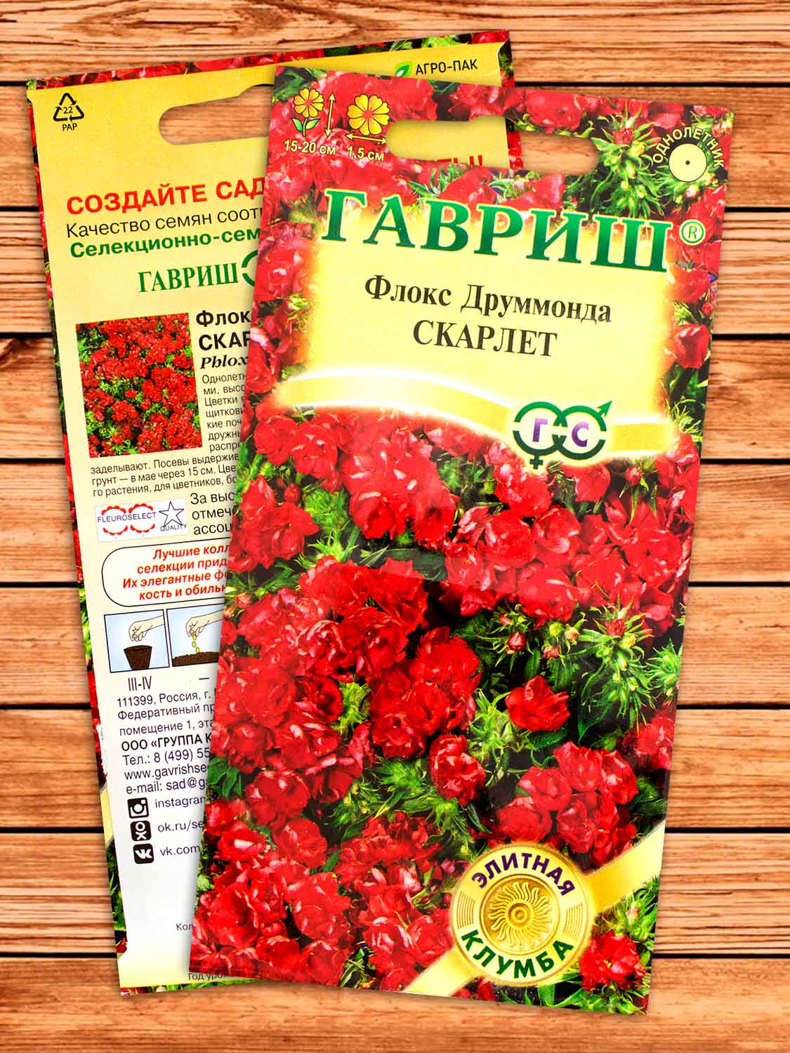 Флокс Друммонда Скарлет 8 шт. серия Элитная клумба