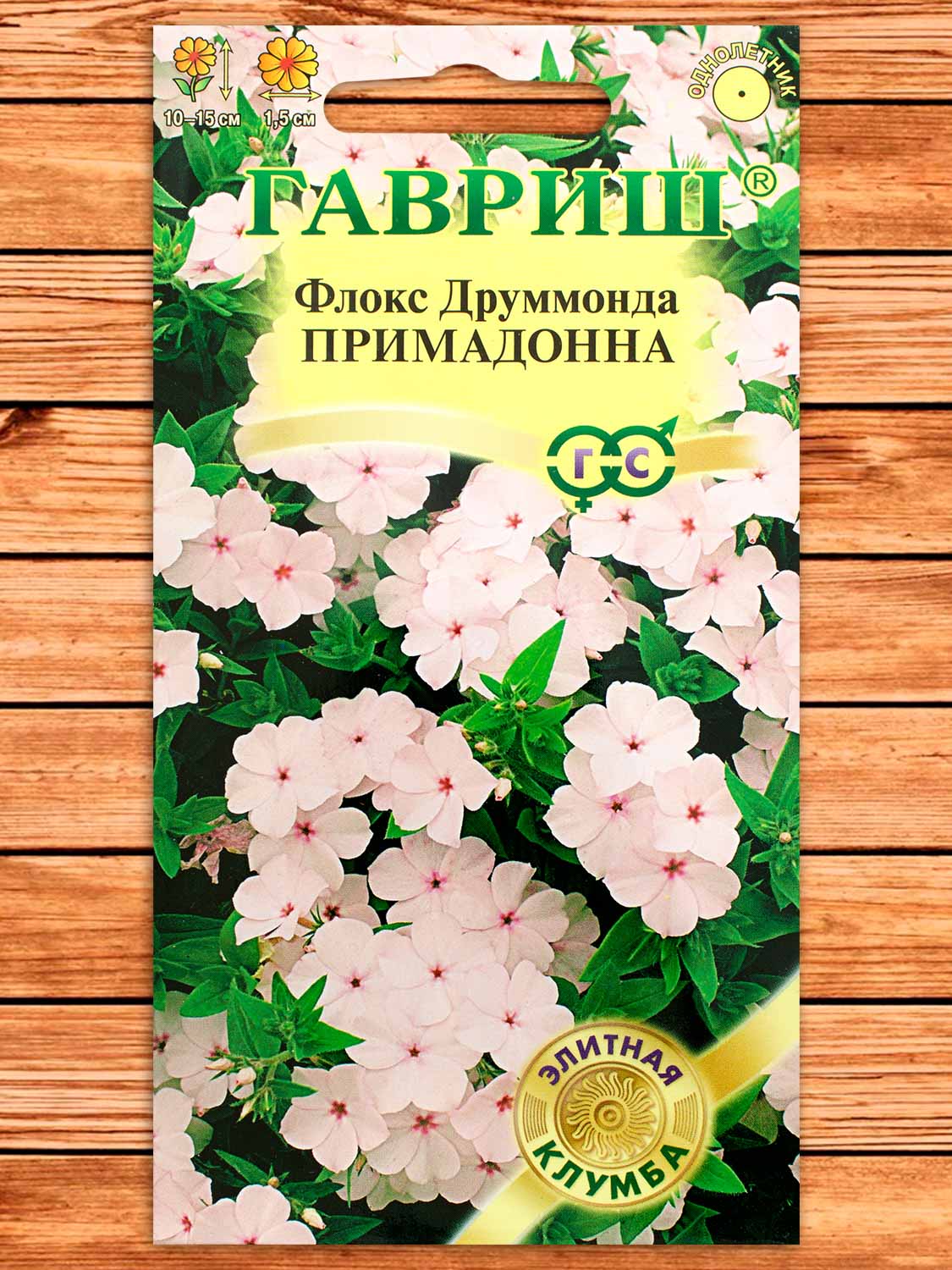 Флокс Друммонди Примадонна 8 шт.
