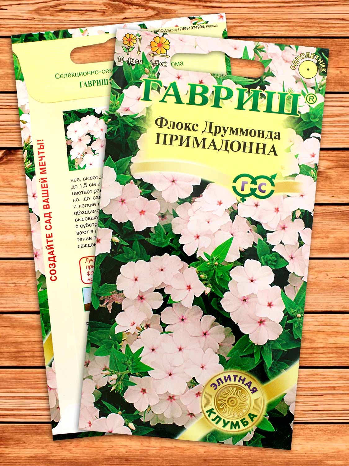 Флокс Друммонди Примадонна 8 шт.