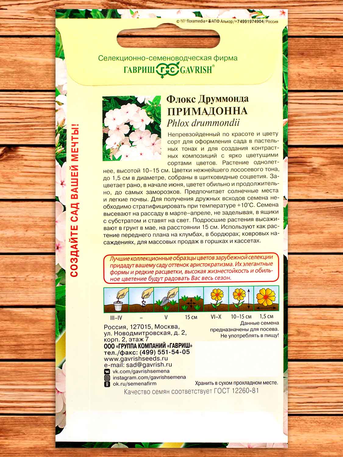 Флокс Друммонди Примадонна 8 шт.