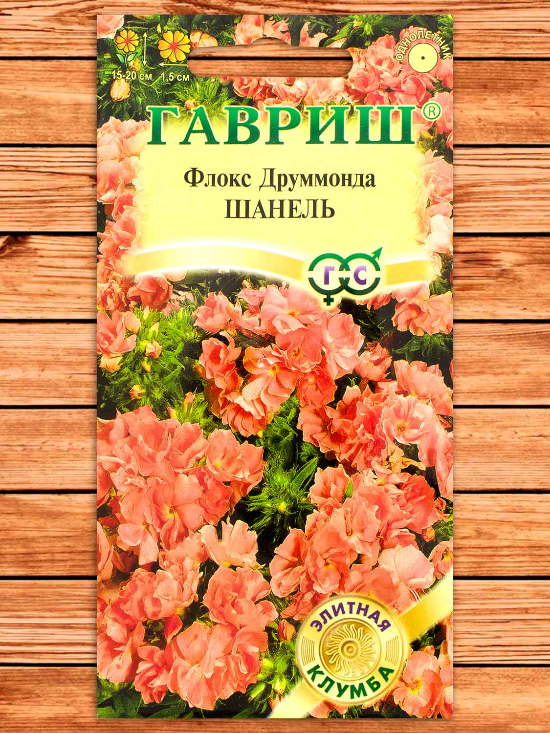Флокс Друммонди Шанель 8 шт.