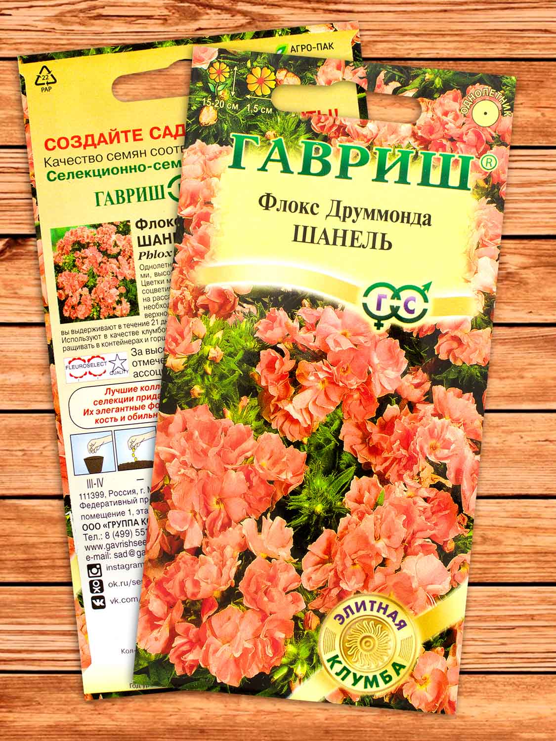 Флокс Друммонди Шанель 8 шт.