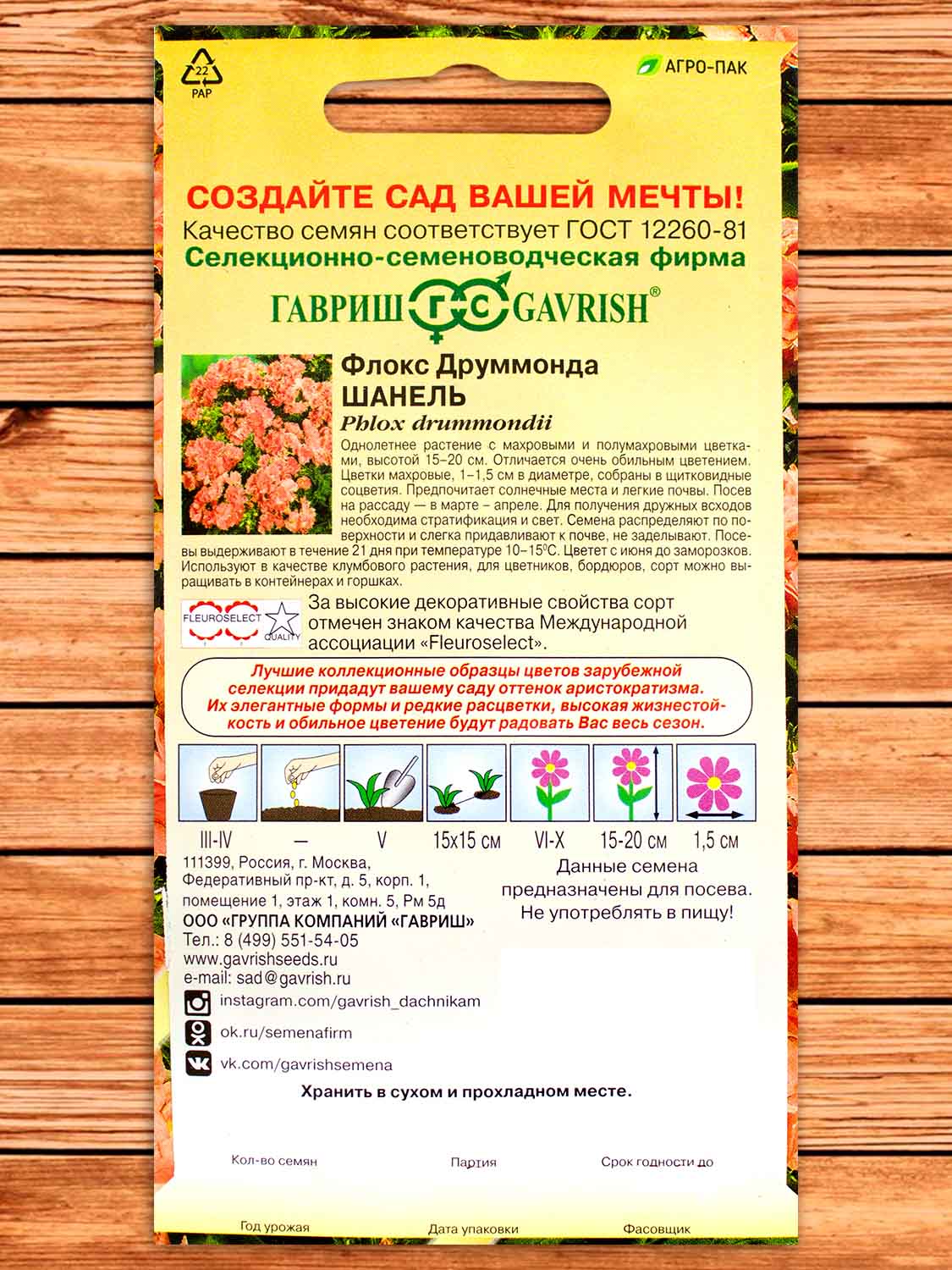 Флокс Друммонди Шанель 8 шт.