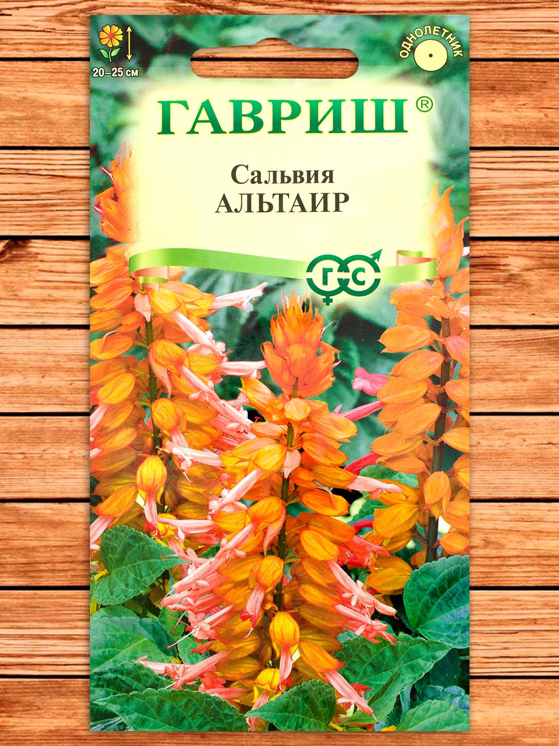 Сальвия Альтаир, карликовая 4 шт.