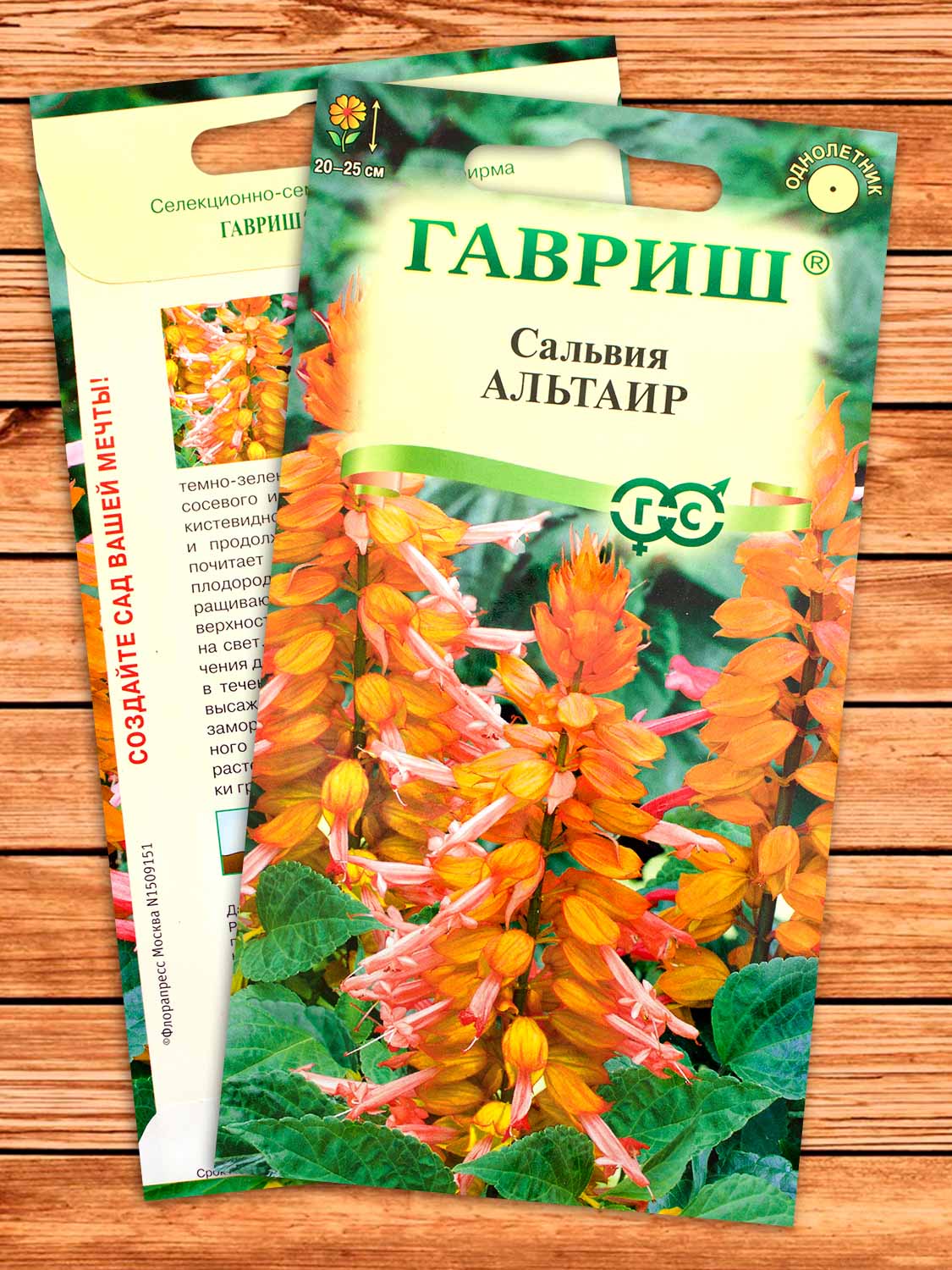 Сальвия Альтаир, карликовая 4 шт.