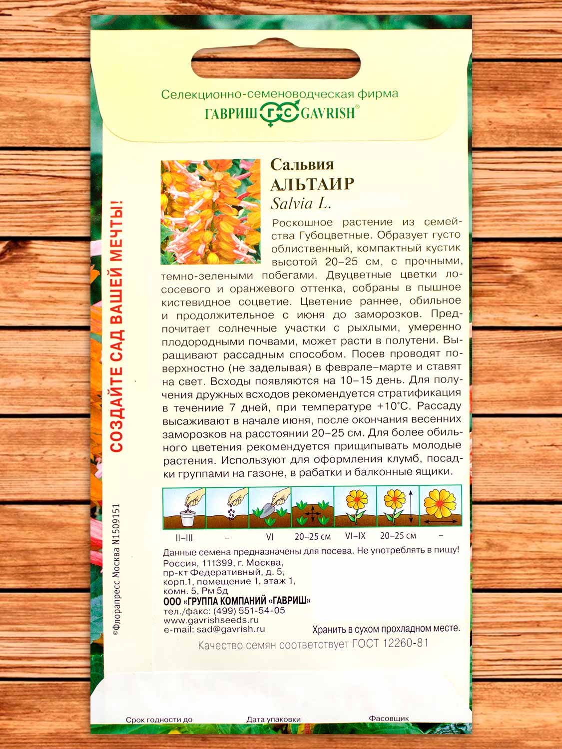 Сальвия Альтаир, карликовая 4 шт.