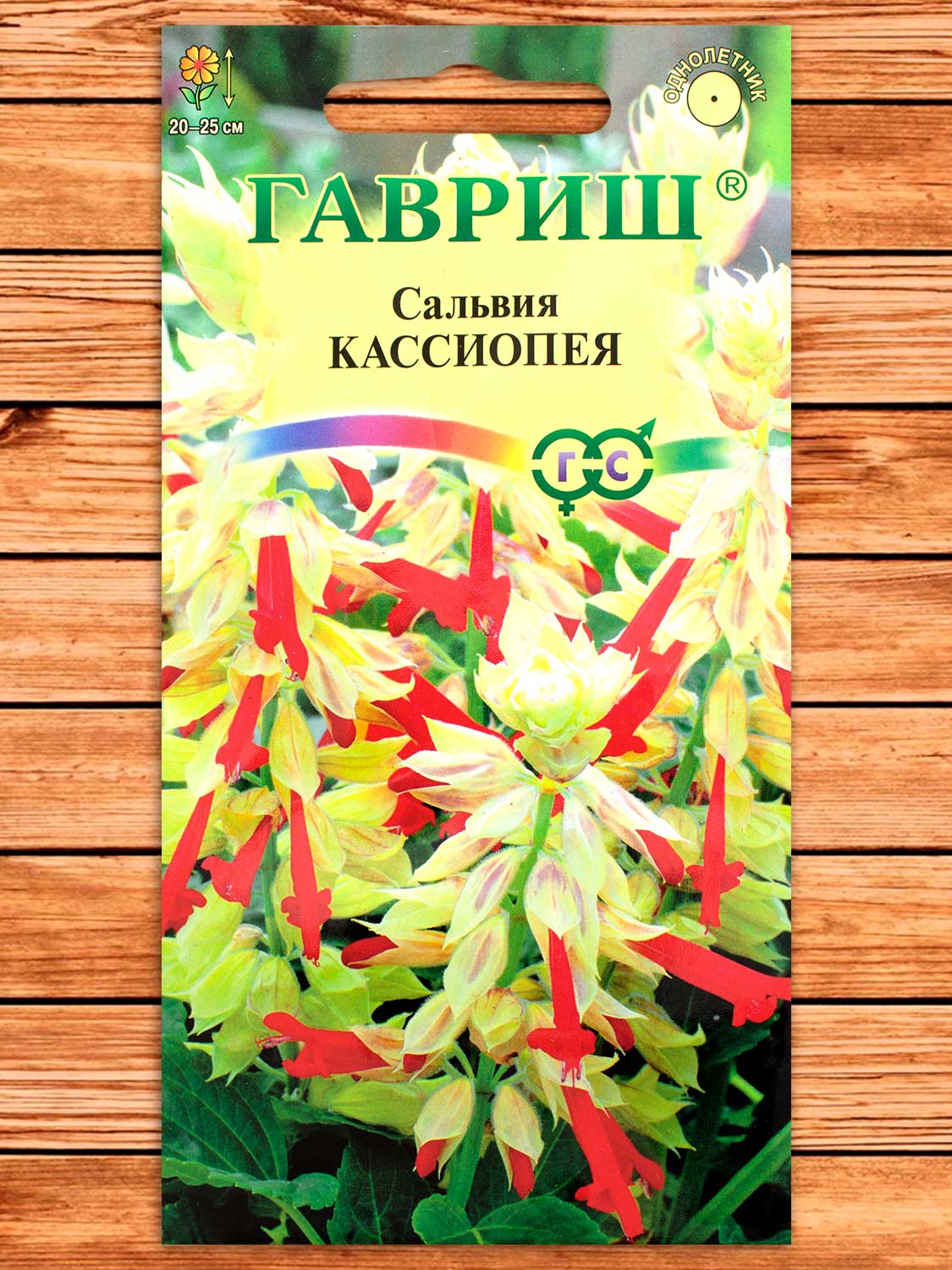 Сальвия Кассиопея, карликовая 4 шт.