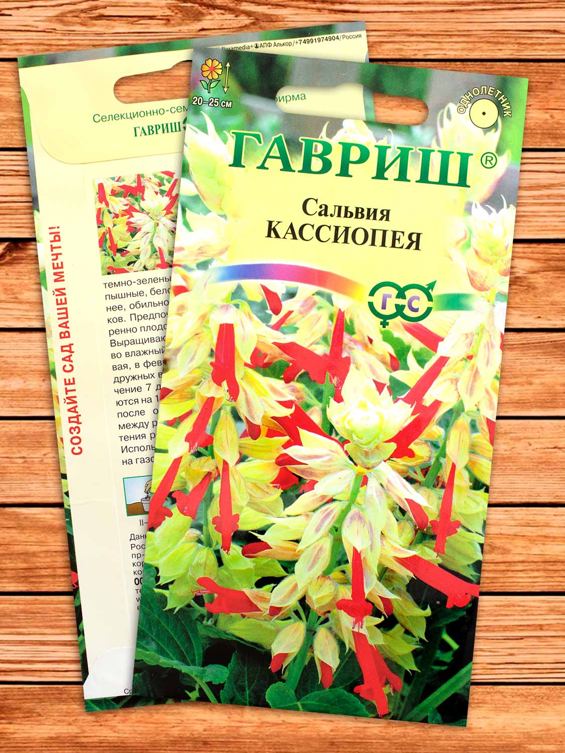 Сальвия Кассиопея, карликовая 4 шт.