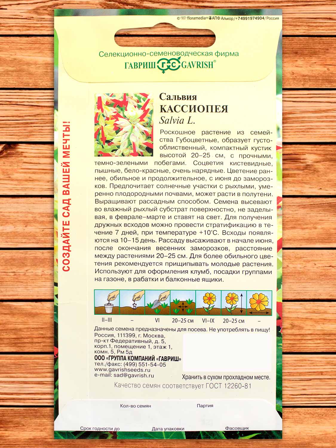 Сальвия Кассиопея, карликовая 4 шт.