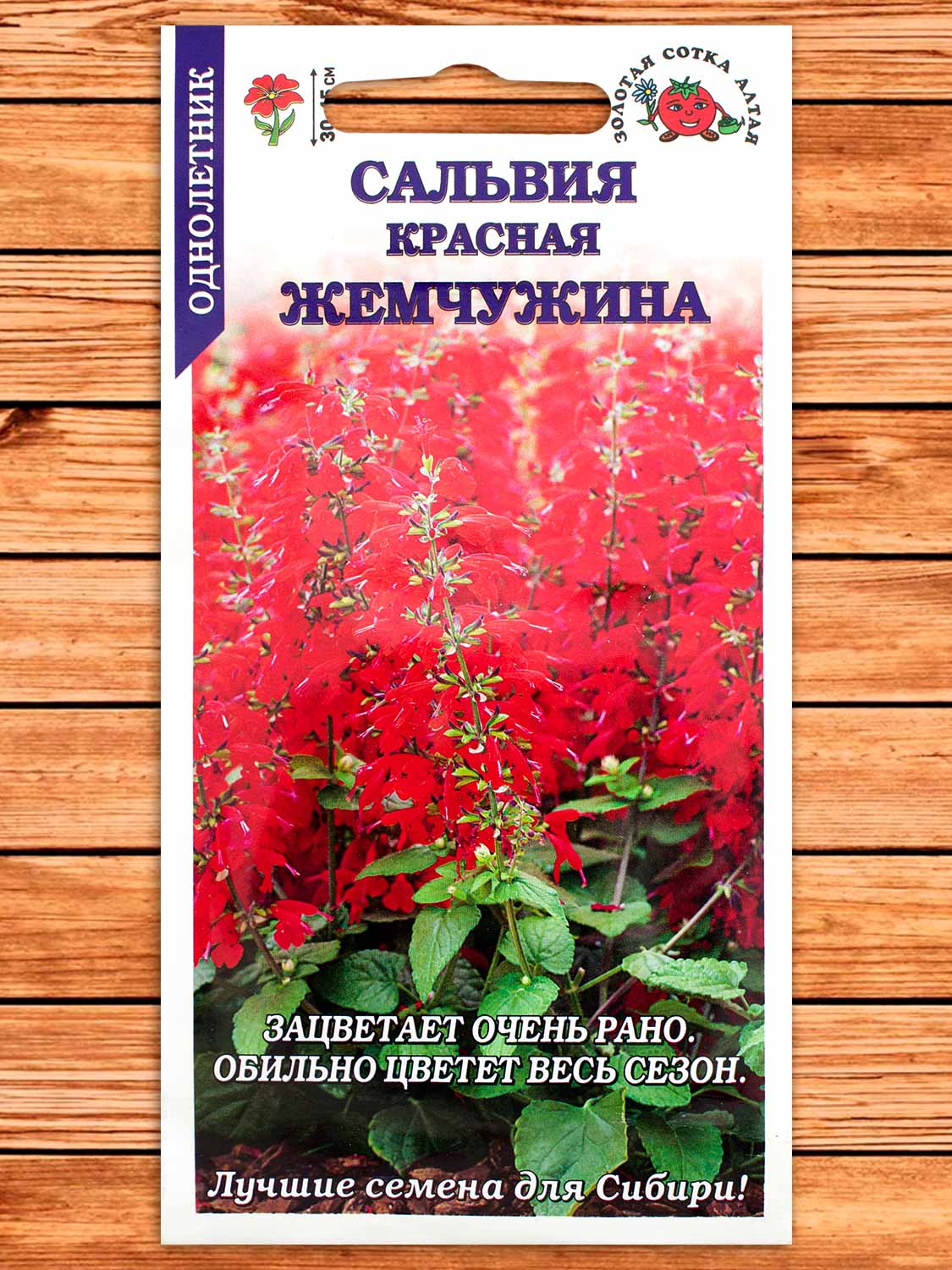 Сальвия Красная Жемчужина 10 шт.
