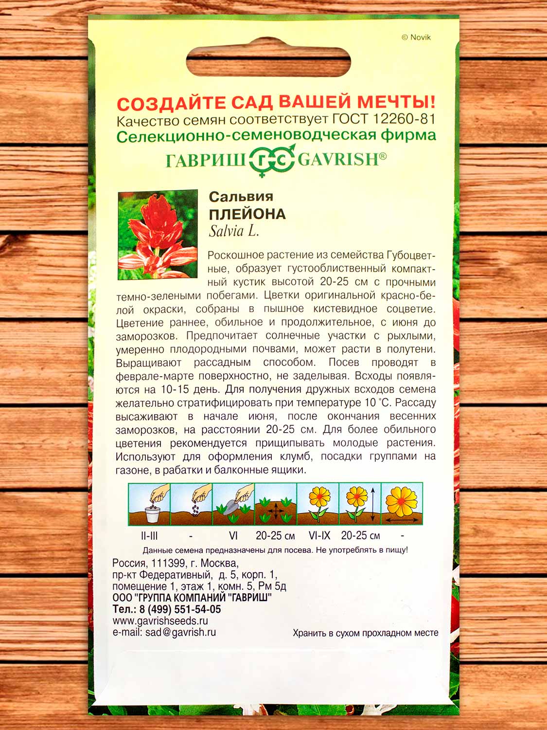 Сальвия Плейона, карликовая 4 шт.